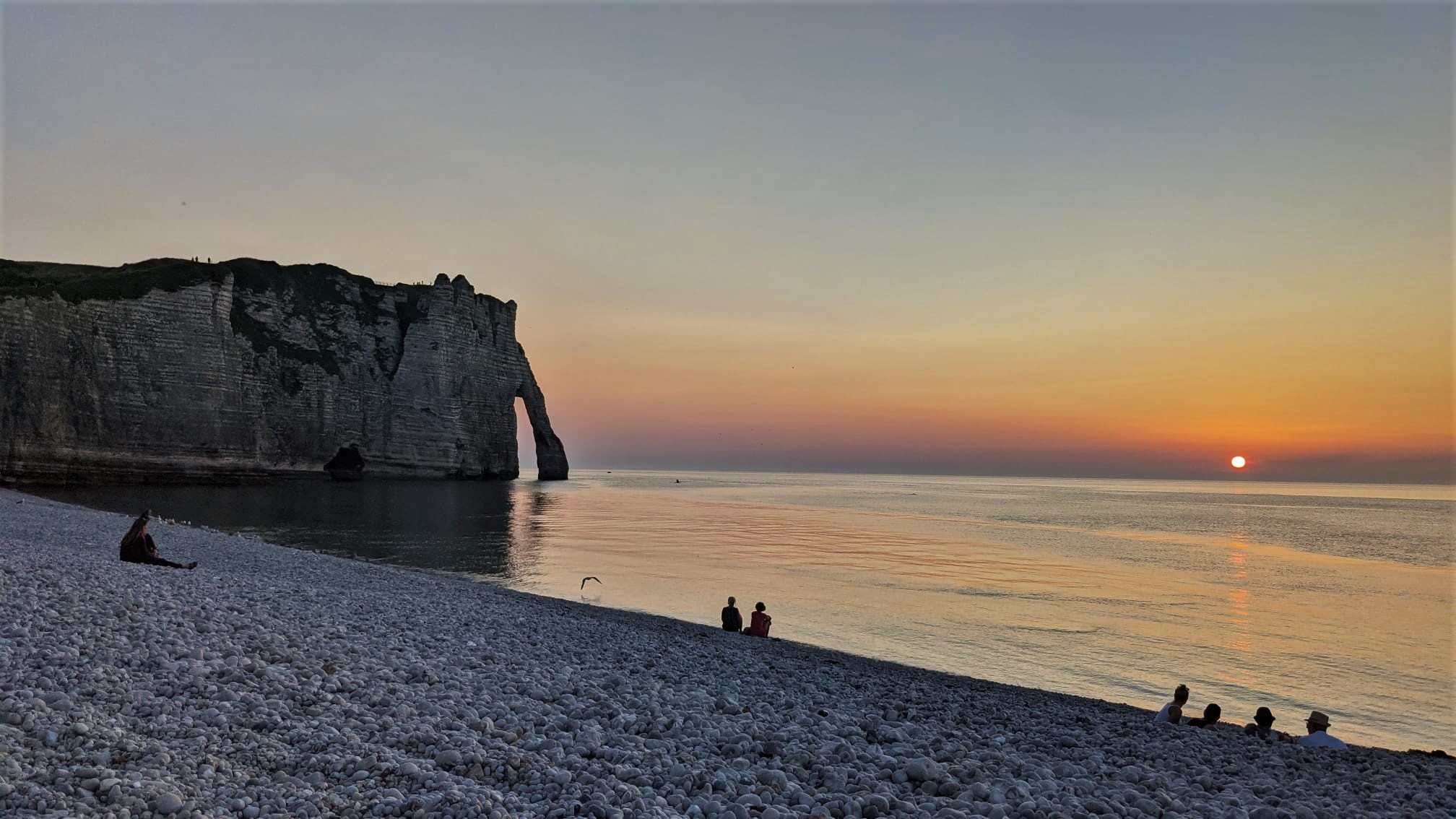 WhatsApp Image 2021-07-22 at 20.23.46