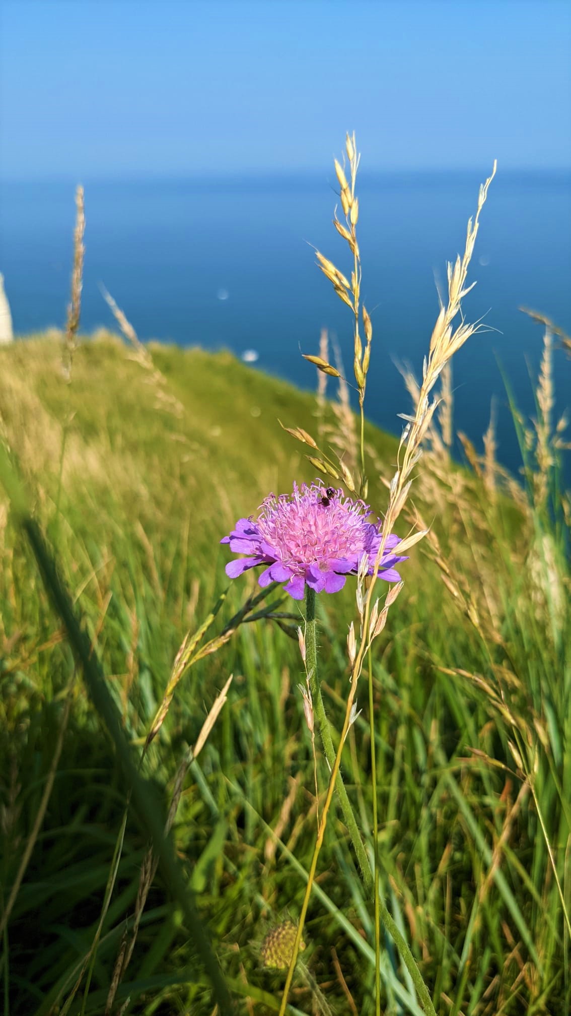 WhatsApp Image 2021-07-22 at 20.23.58 (2)