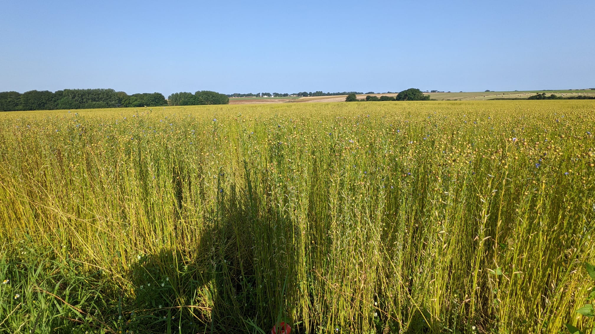 WhatsApp Image 2021-07-22 at 20.23.59