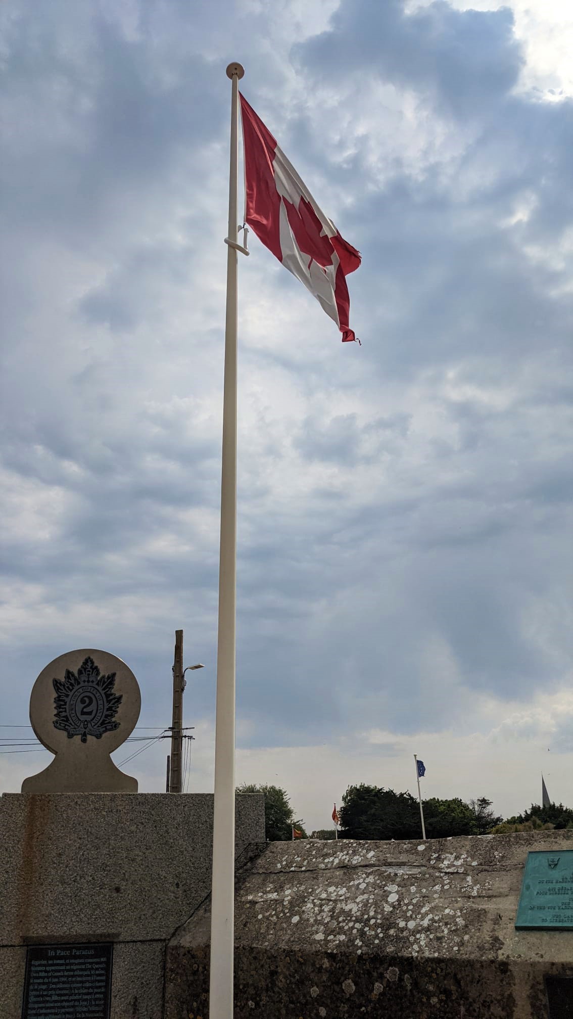 WhatsApp Image 2021-07-24 at 17.16.33