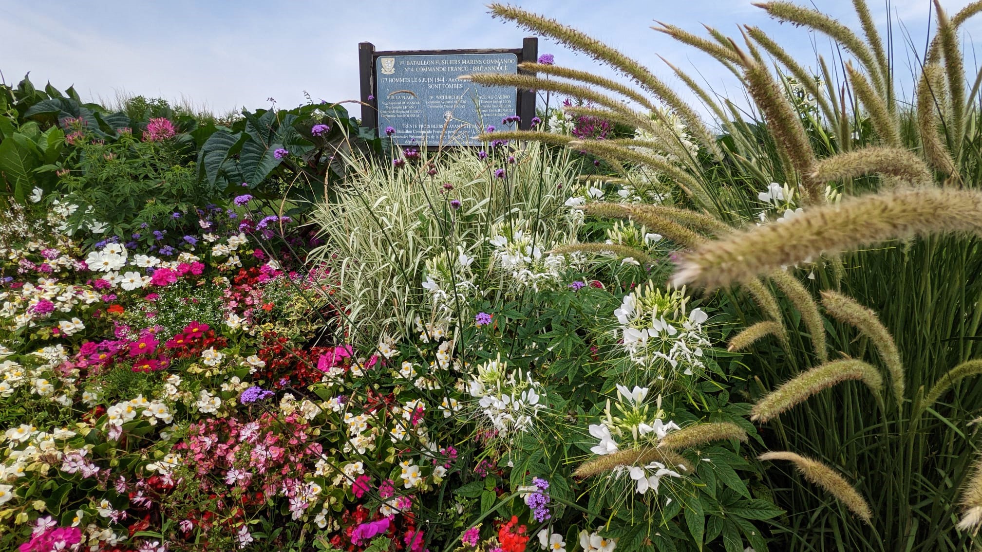 WhatsApp Image 2021-07-24 at 17.16.51