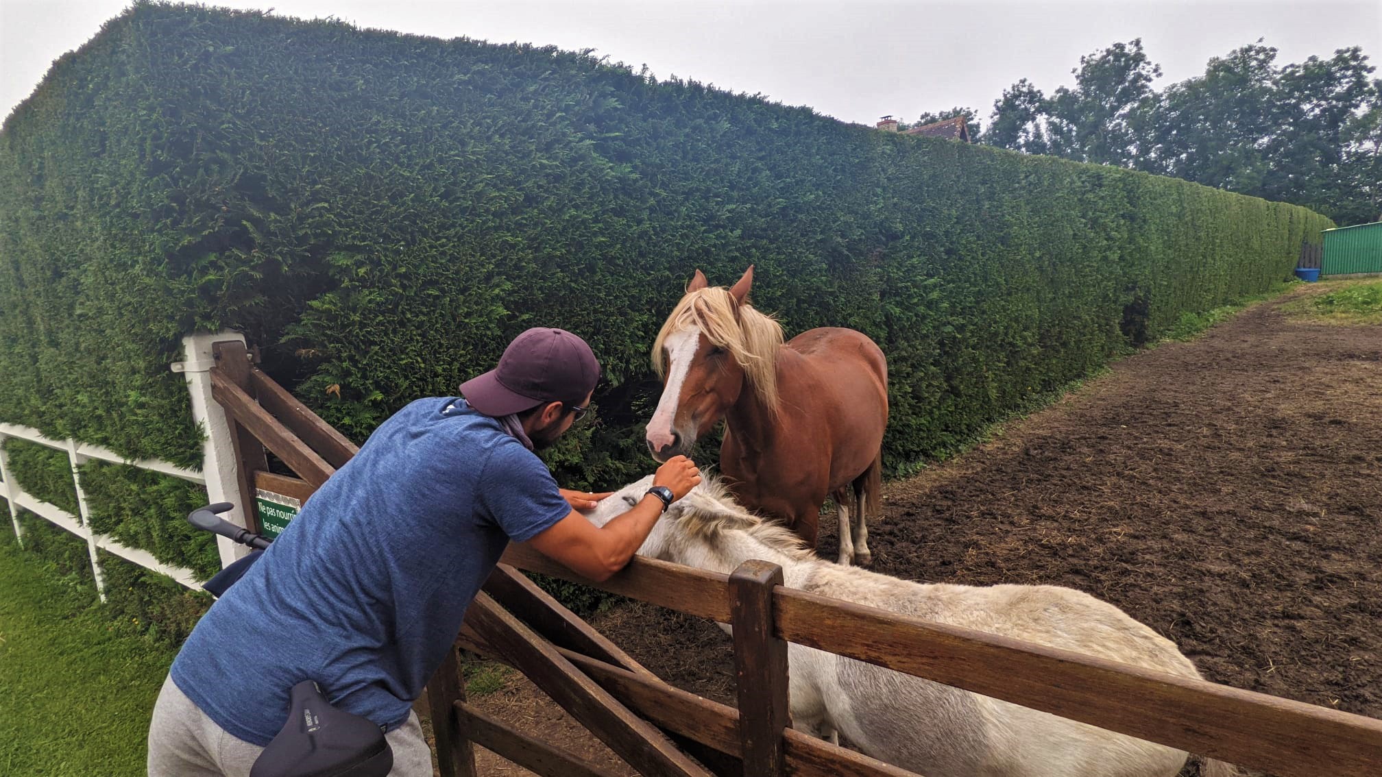 WhatsApp Image 2021-07-25 at 23.03.40 (2)