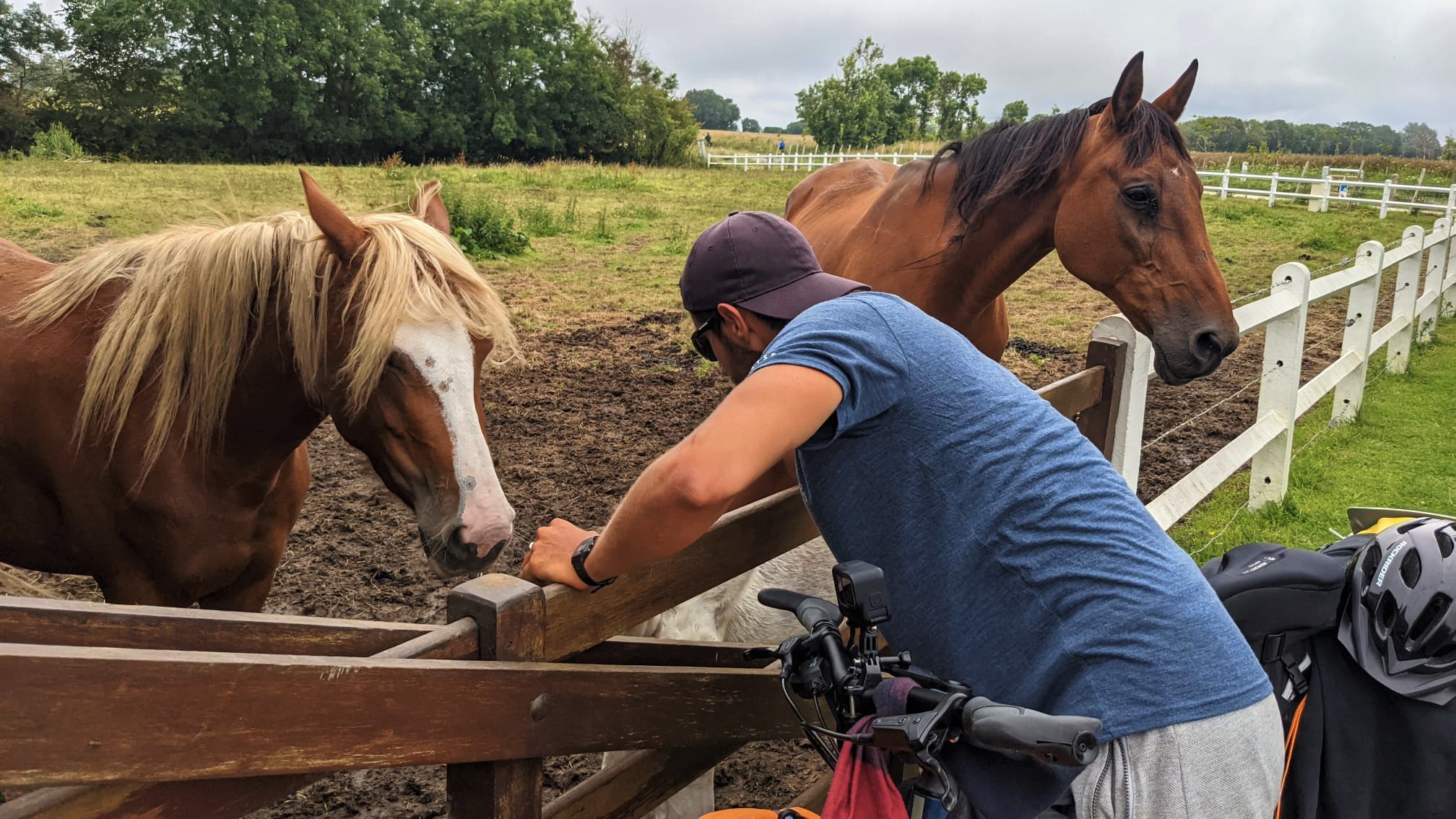 WhatsApp Image 2021-07-25 at 23.03.40 (3)