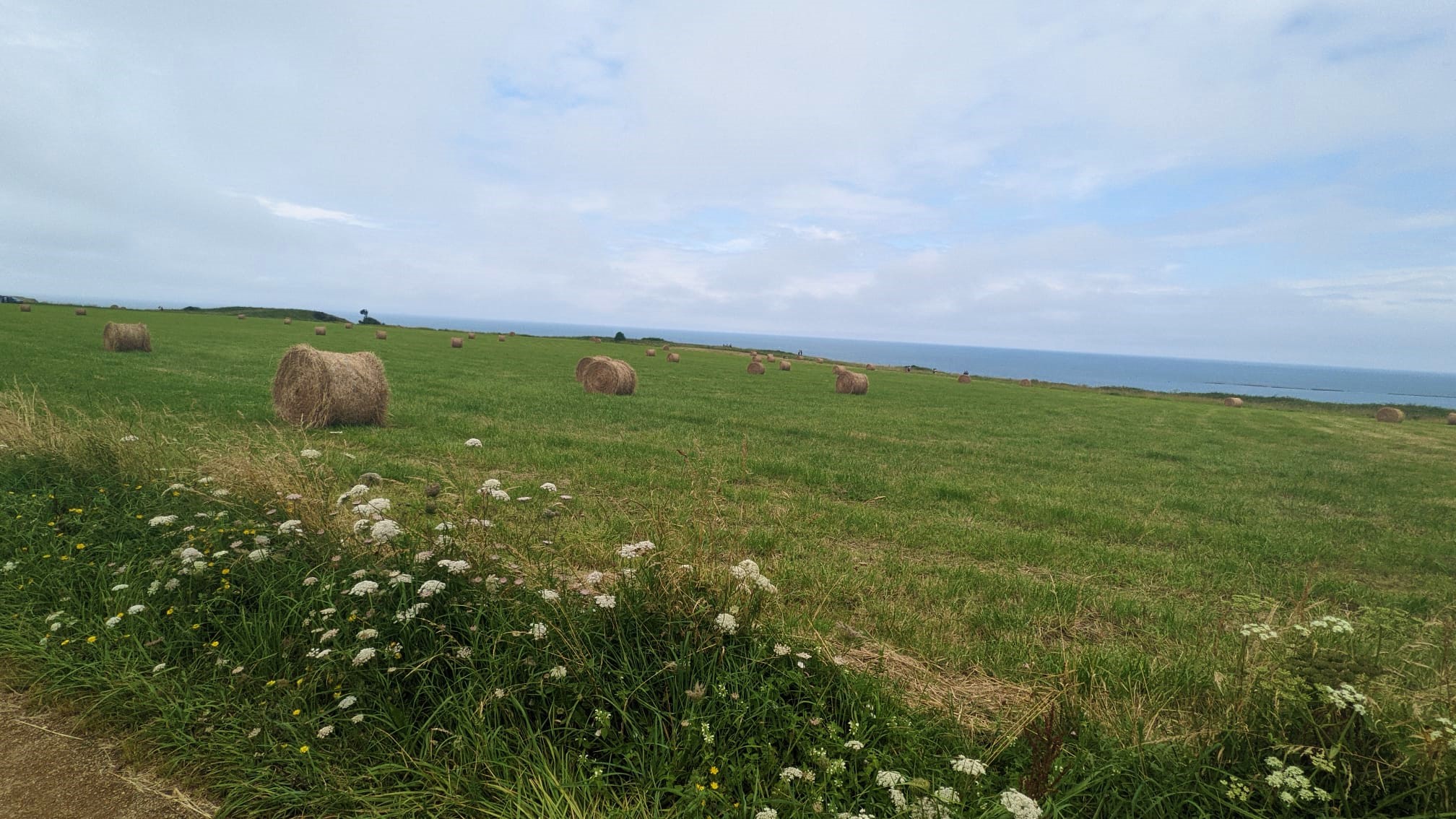 WhatsApp Image 2021-07-25 at 23.03.41 (3)