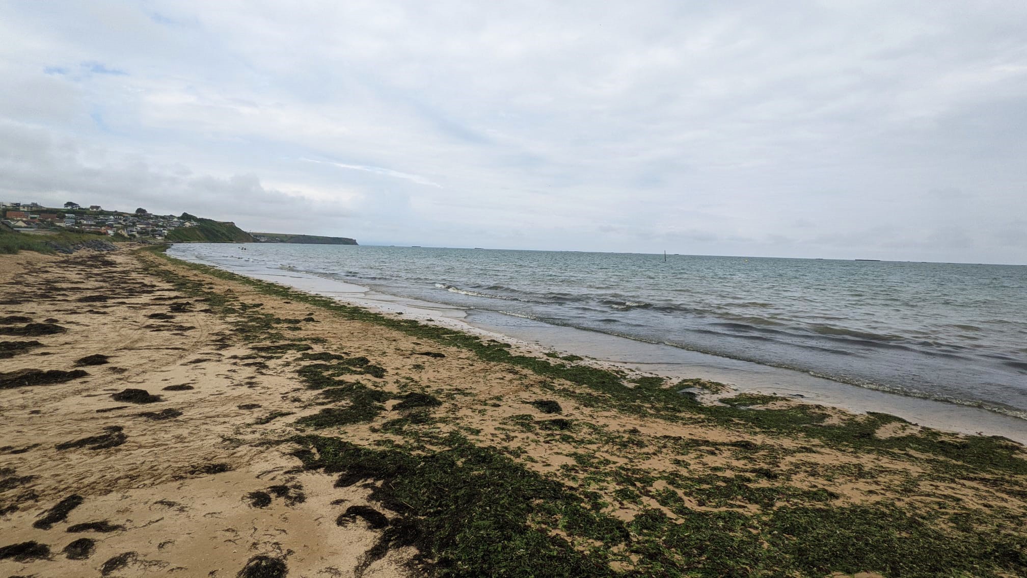 WhatsApp Image 2021-07-25 at 23.03.42 (3)