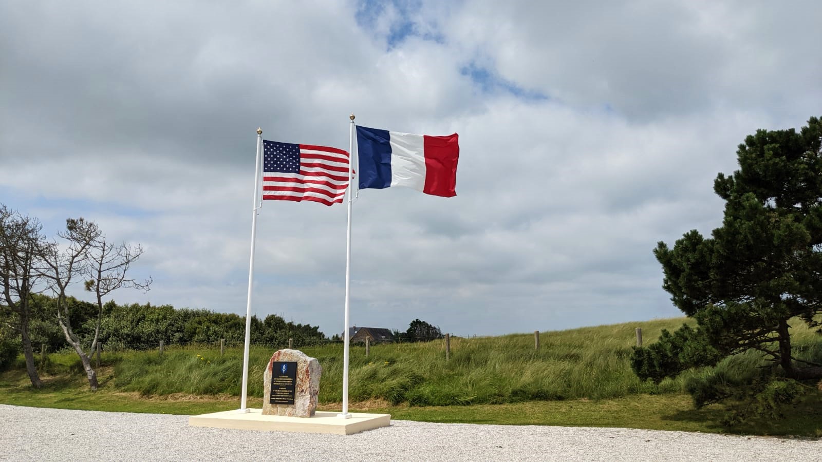 WhatsApp Image 2021-07-26 at 22.10.07