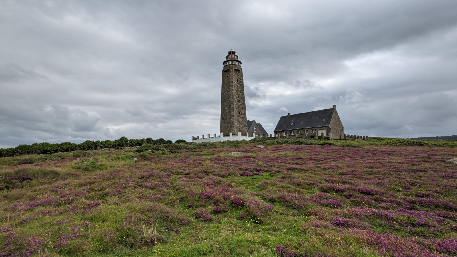 WhatsApp Image 2021-07-27 at 22.20.08