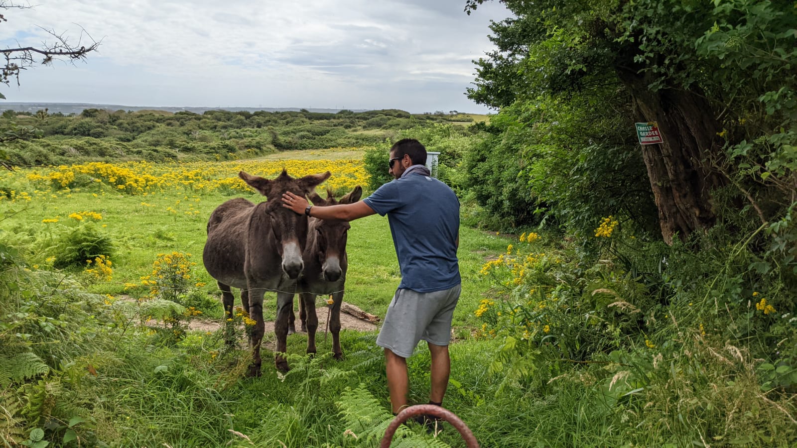 WhatsApp Image 2021-07-28 at 23.31.03