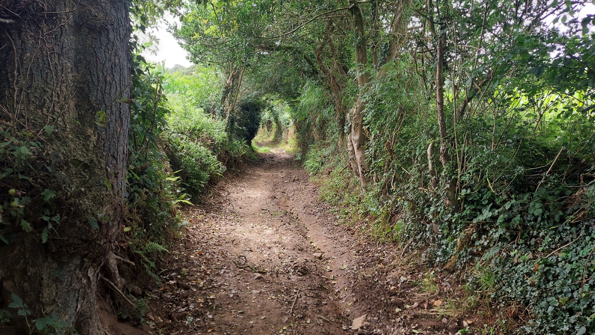 20210729_130038 (Grand)