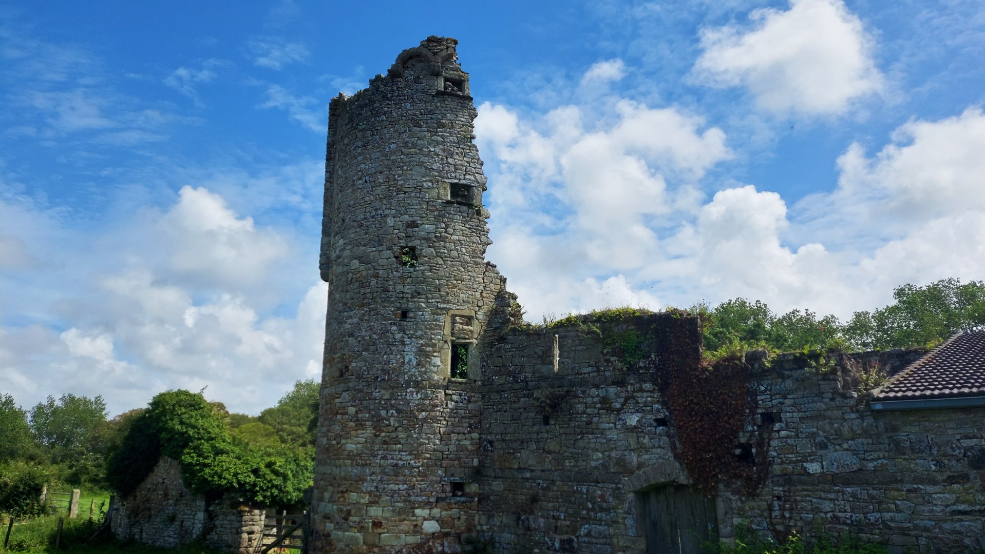 20210729_135359 (Grand)