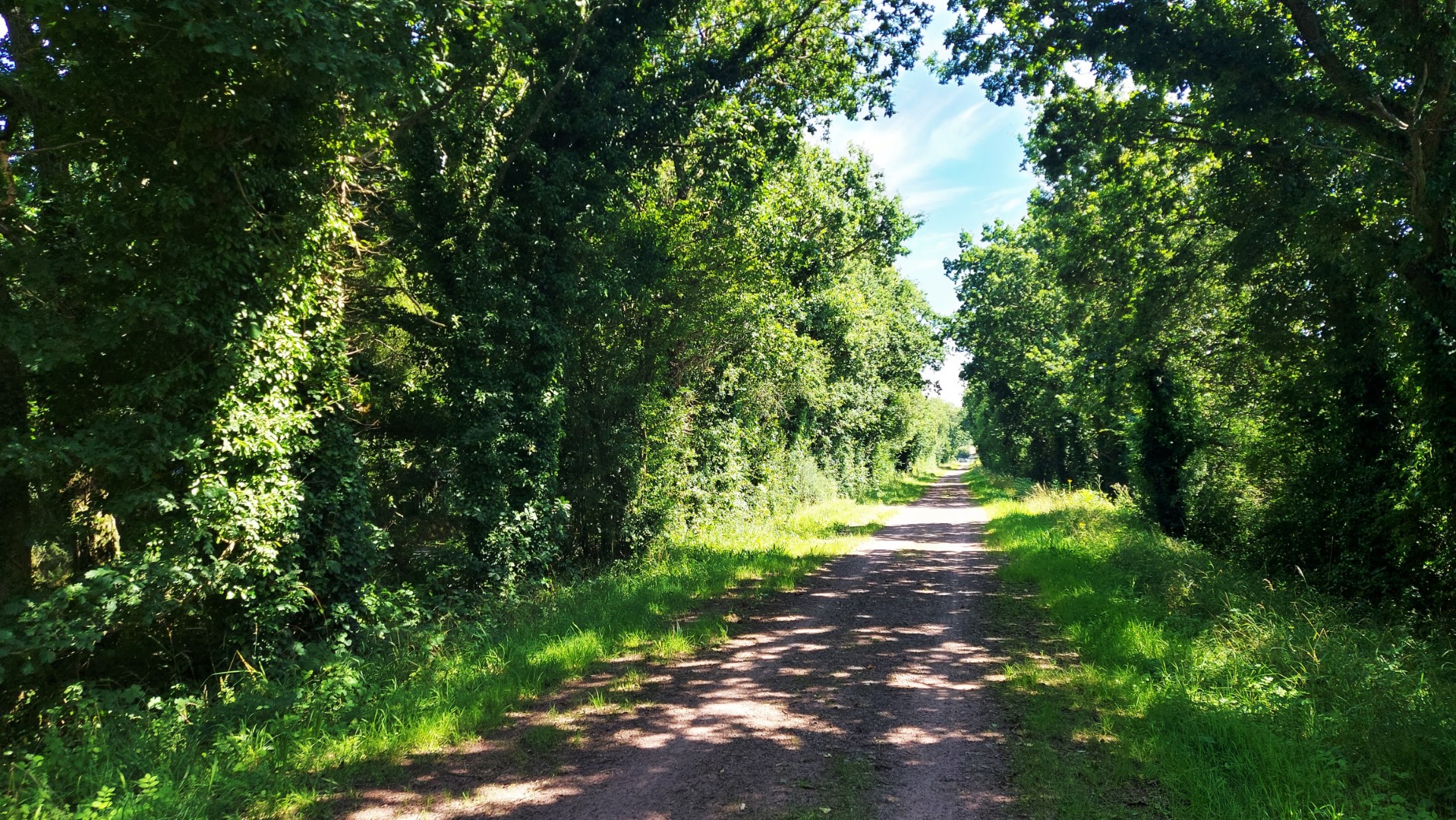 20210729_153936 (Grand)