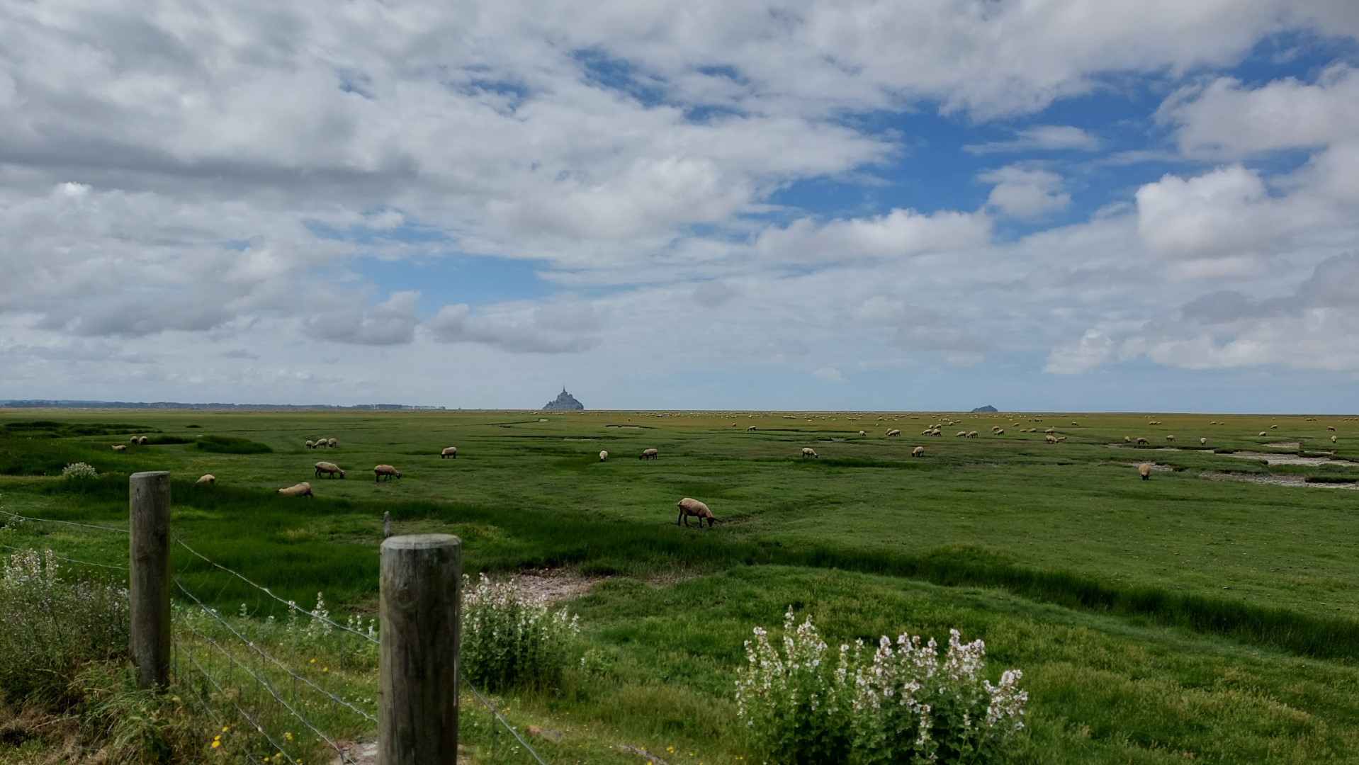 20210731_151153 (Grand)