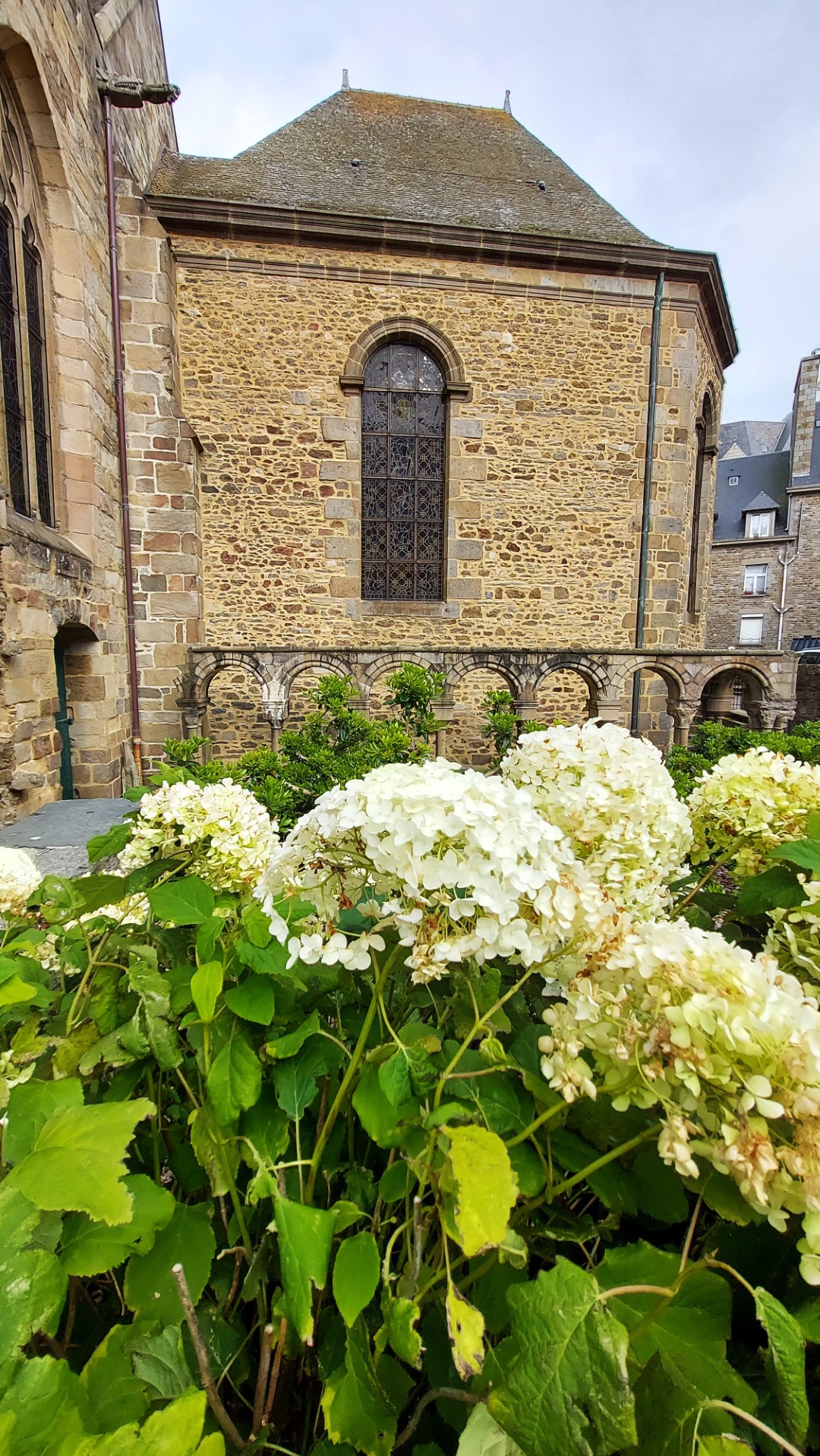 20210801_184041 (Grand)