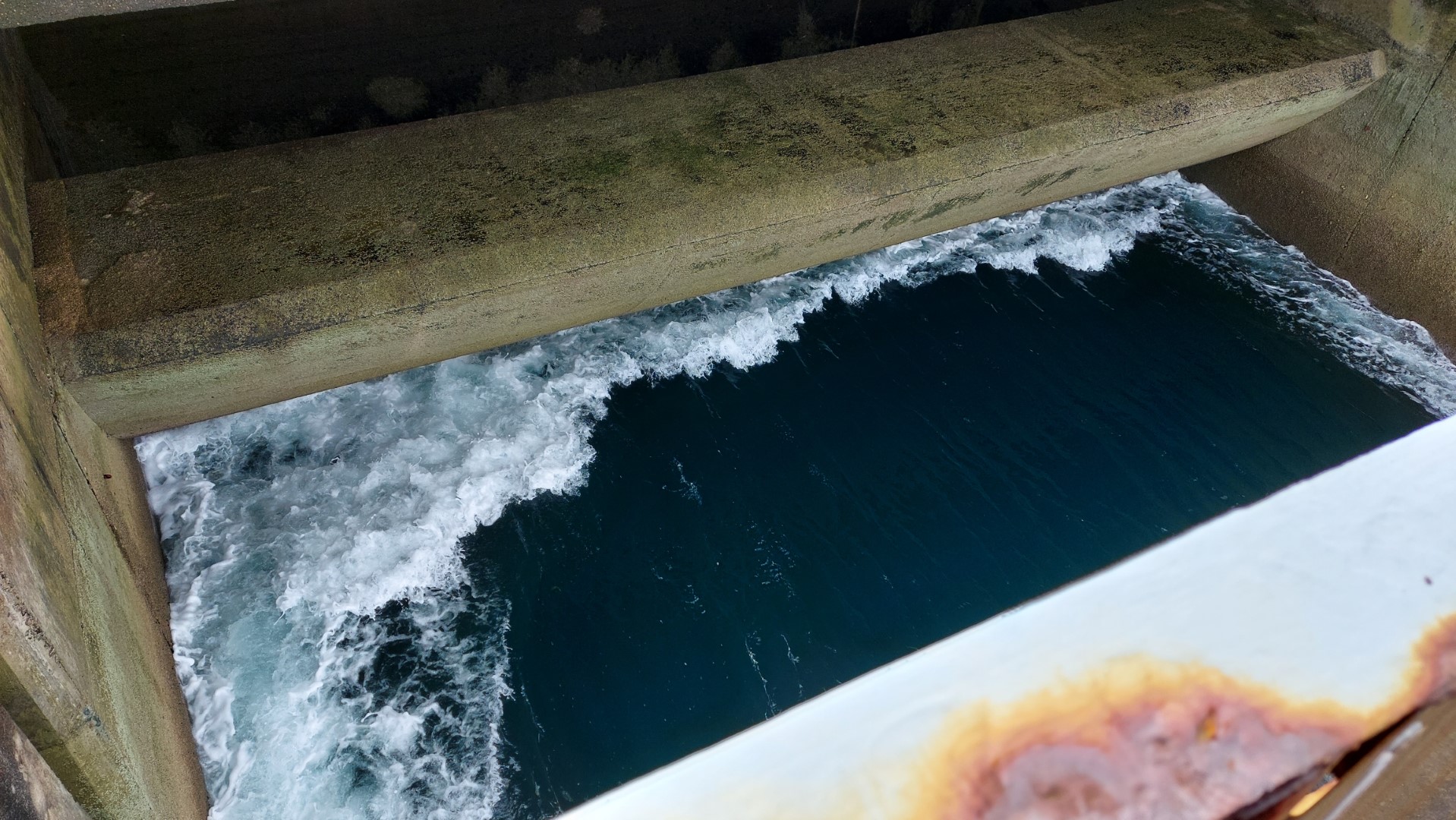 20210802_132210 (Grand)