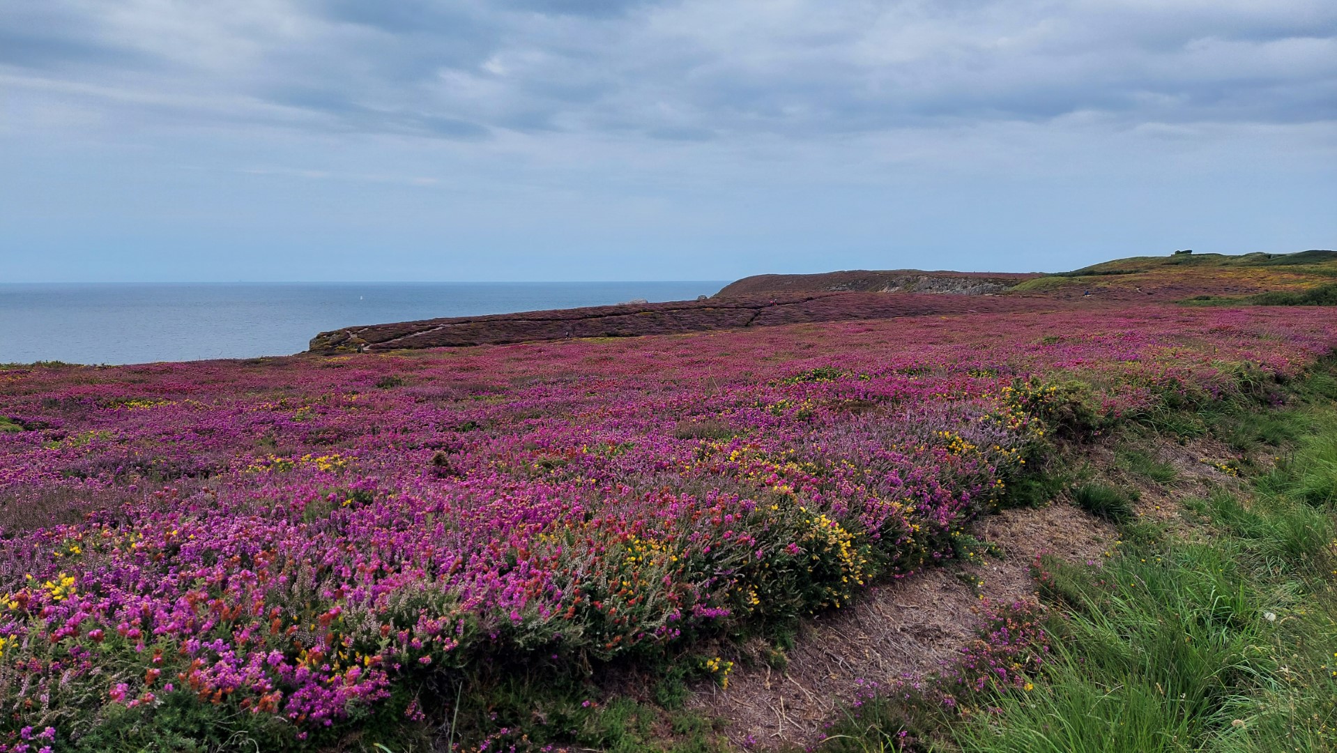 20210802_182559 (Grand)