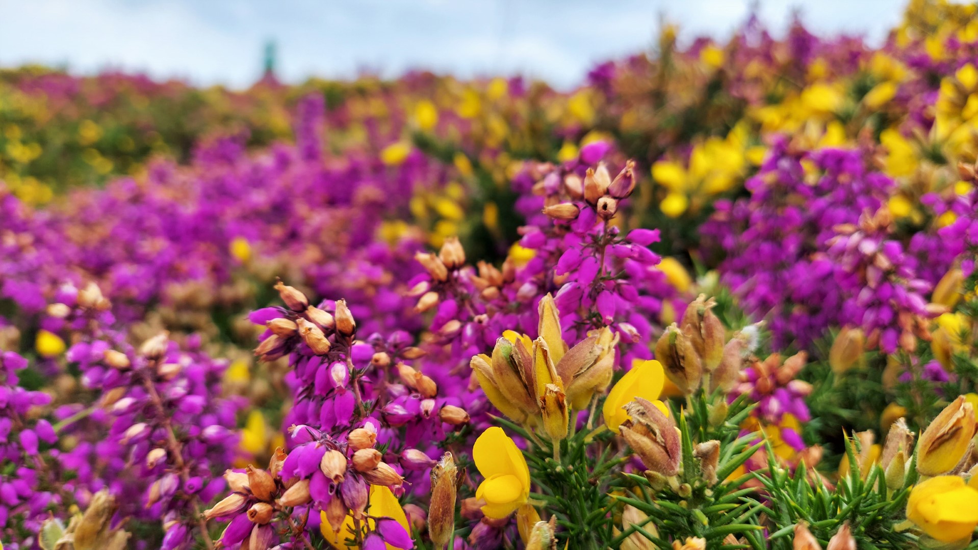 20210802_185621 (Grand)