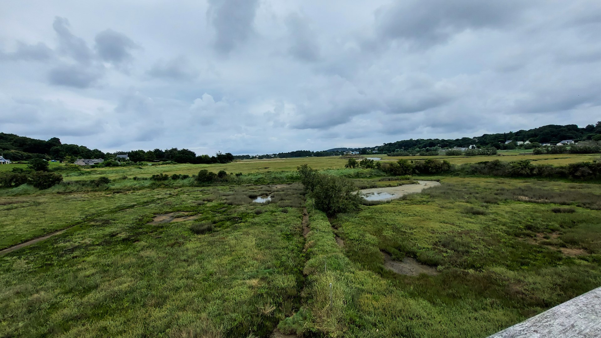 20210803_125120 (Grand)