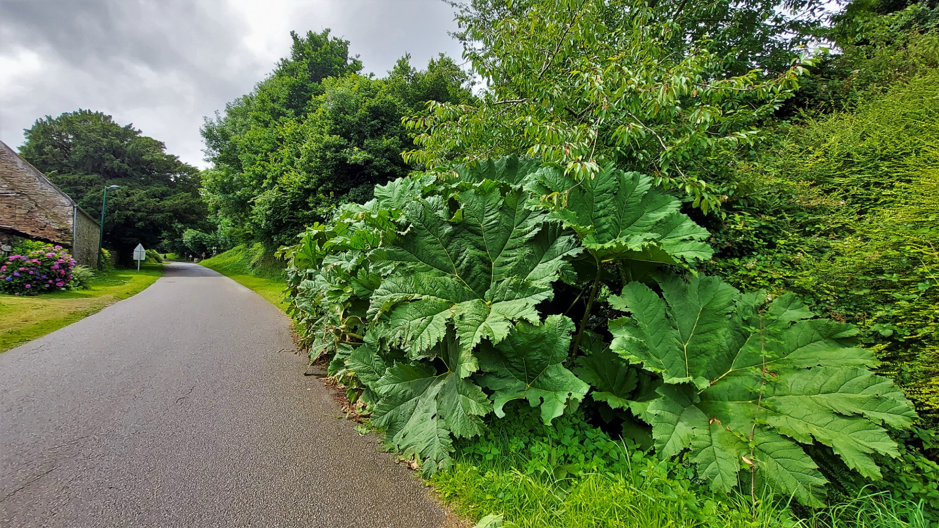 20210807_150817 (Grand)