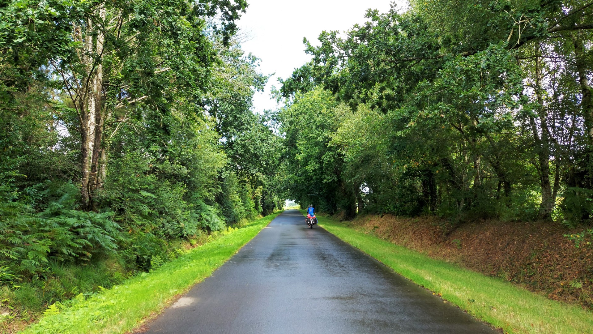 20210808_120310 (Grand)