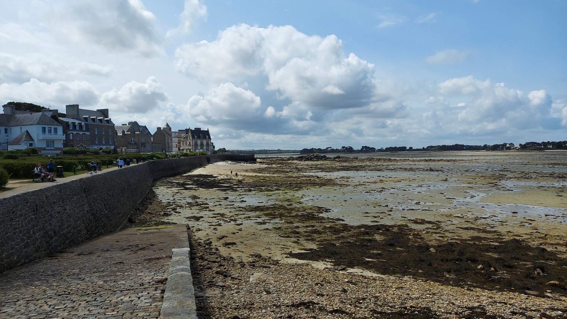 20210808_140046 (Grand)