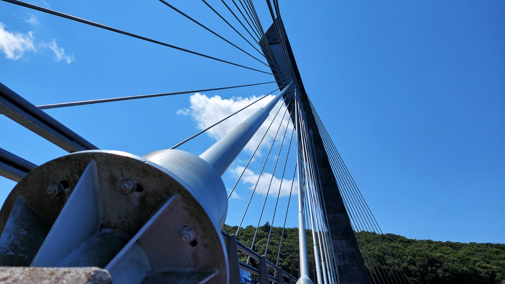 20210812_140340 - Copie - Copie (Grand)