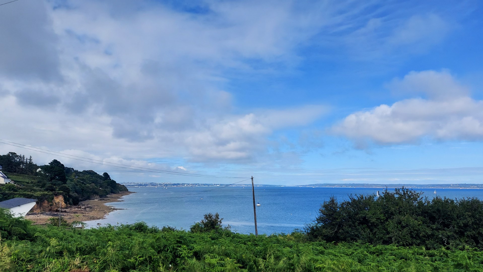 20210812_171026(0) - Copie - Copie (Grand)