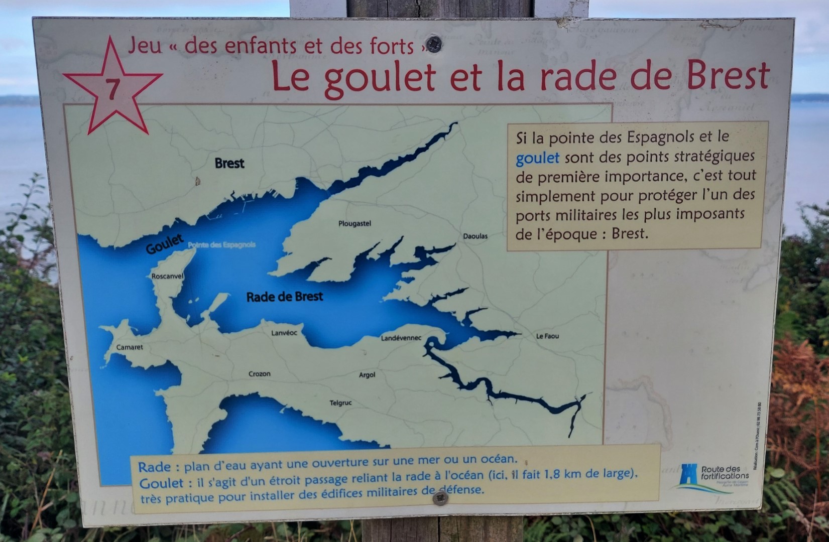 20210812_172703 - Copie - Copie (Grand)