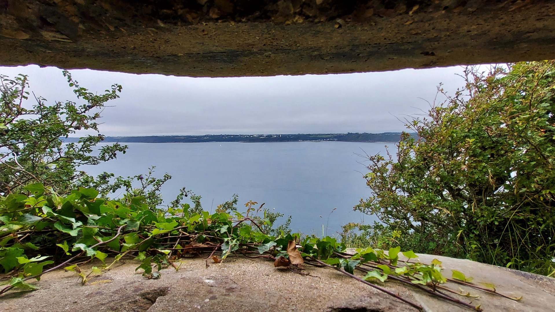 20210812_173547 - Copie (Grand)