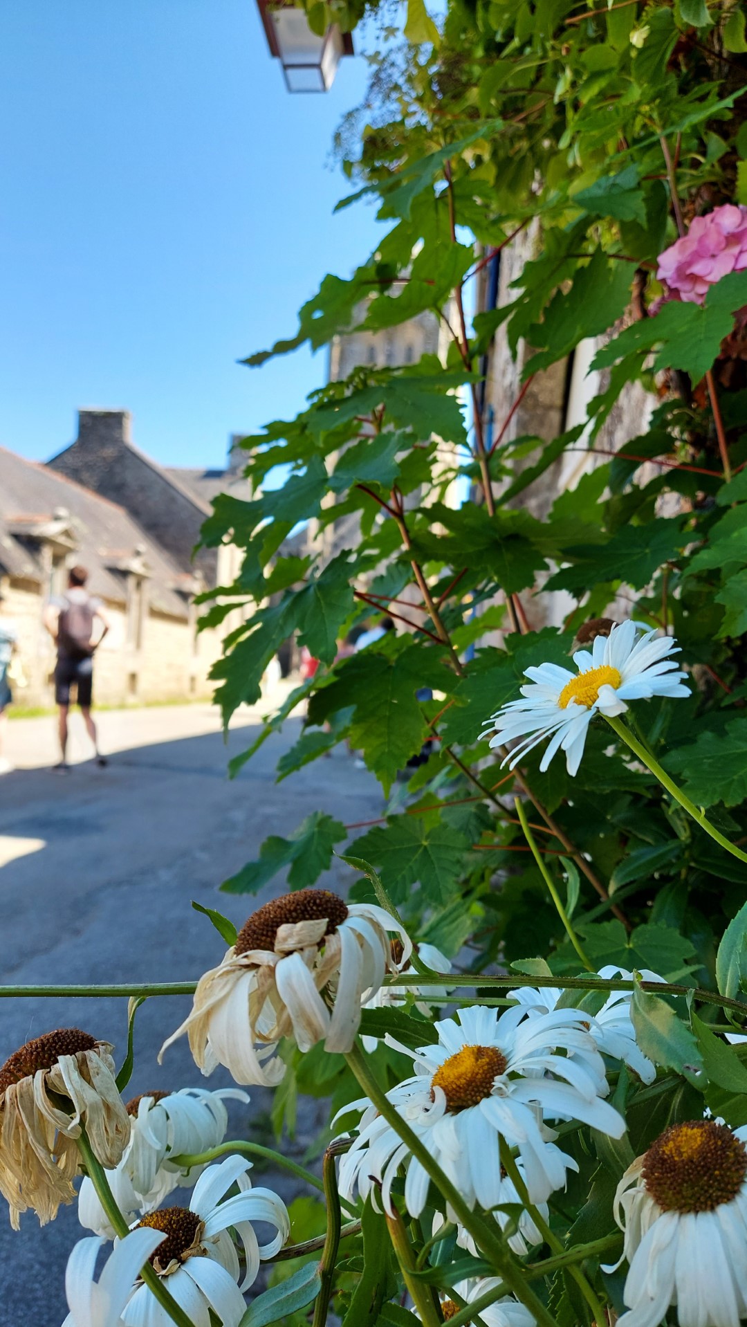 20210814_140623 (Grand)