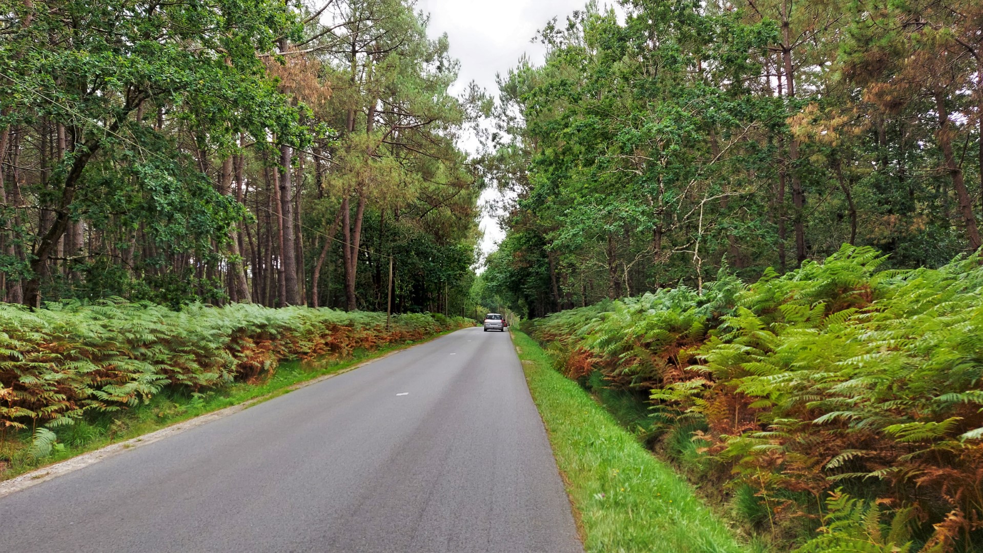 20210815_164209 (Grand)