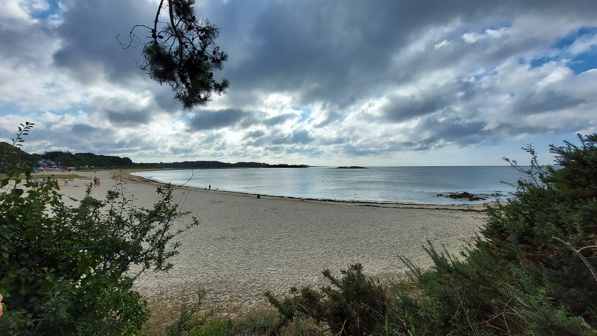 20210816_100459 (Grand)