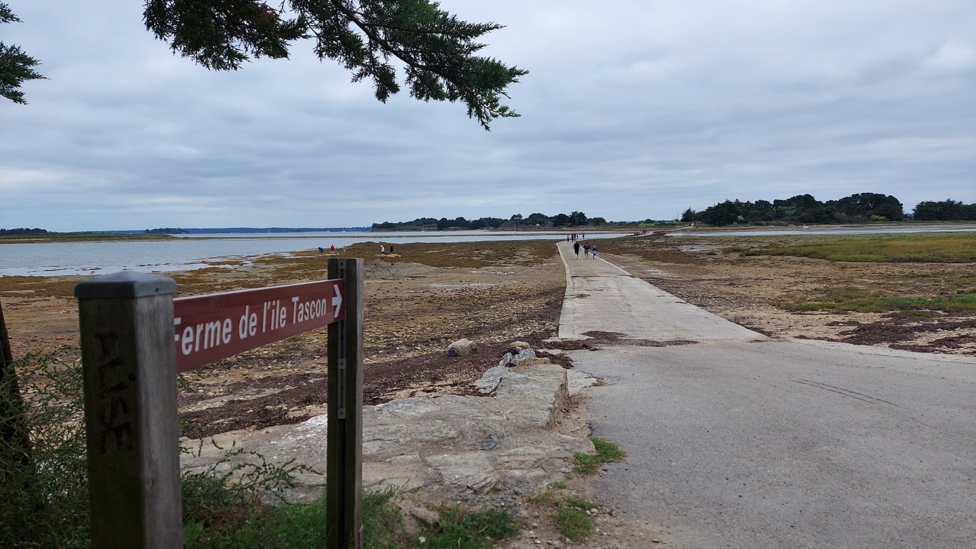 20210818_123903 (Grand)