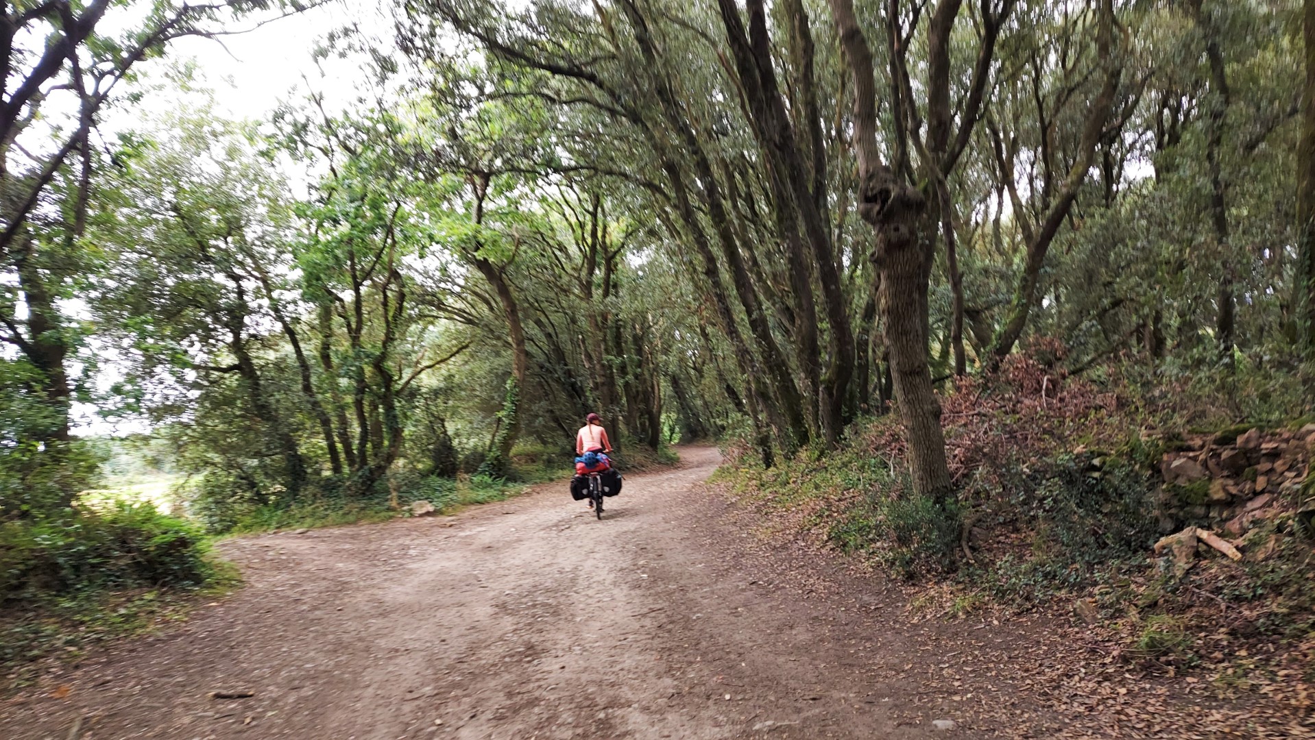 20210818_131335 (Grand)