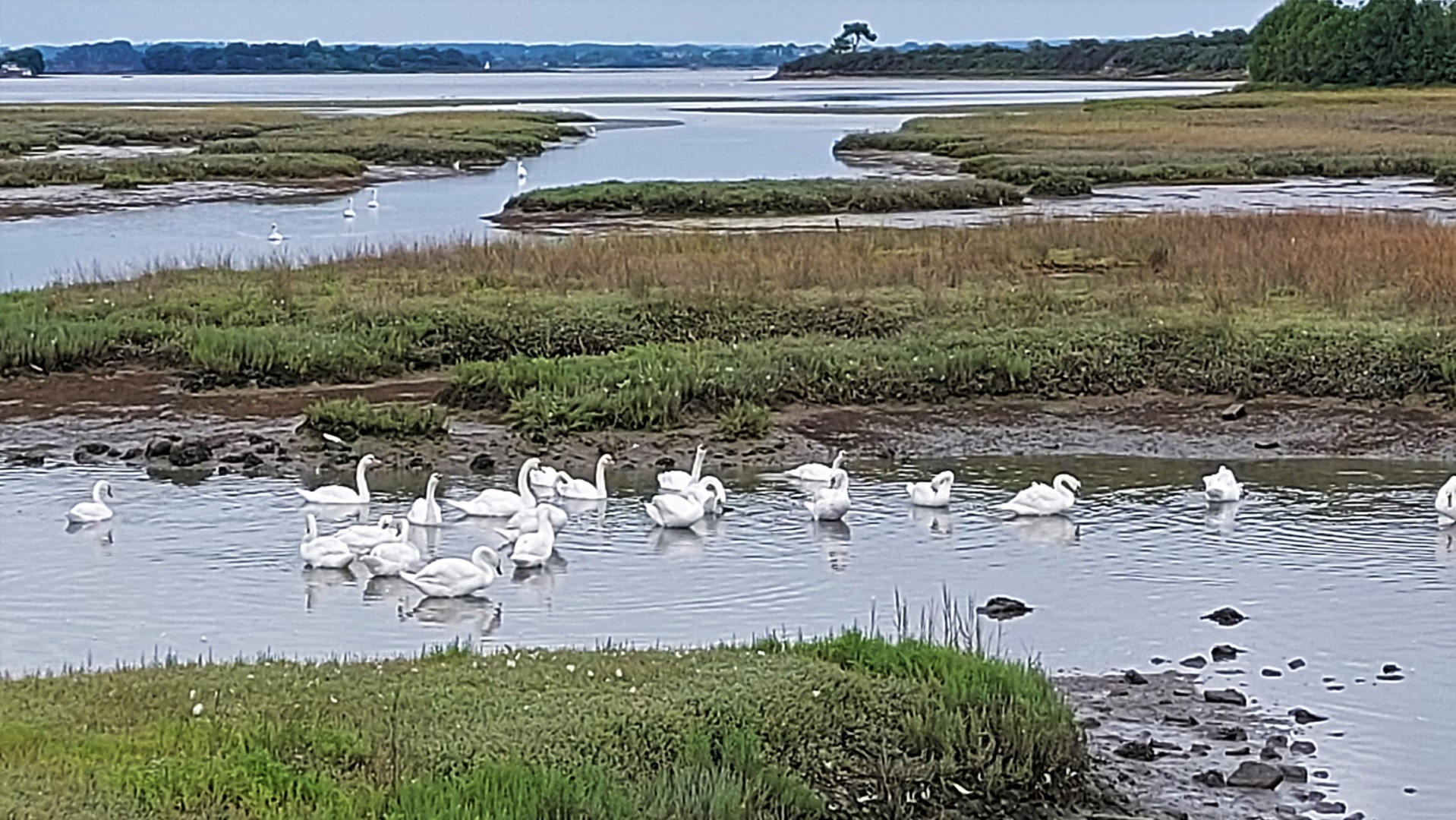 20210818_134641 (Grand)