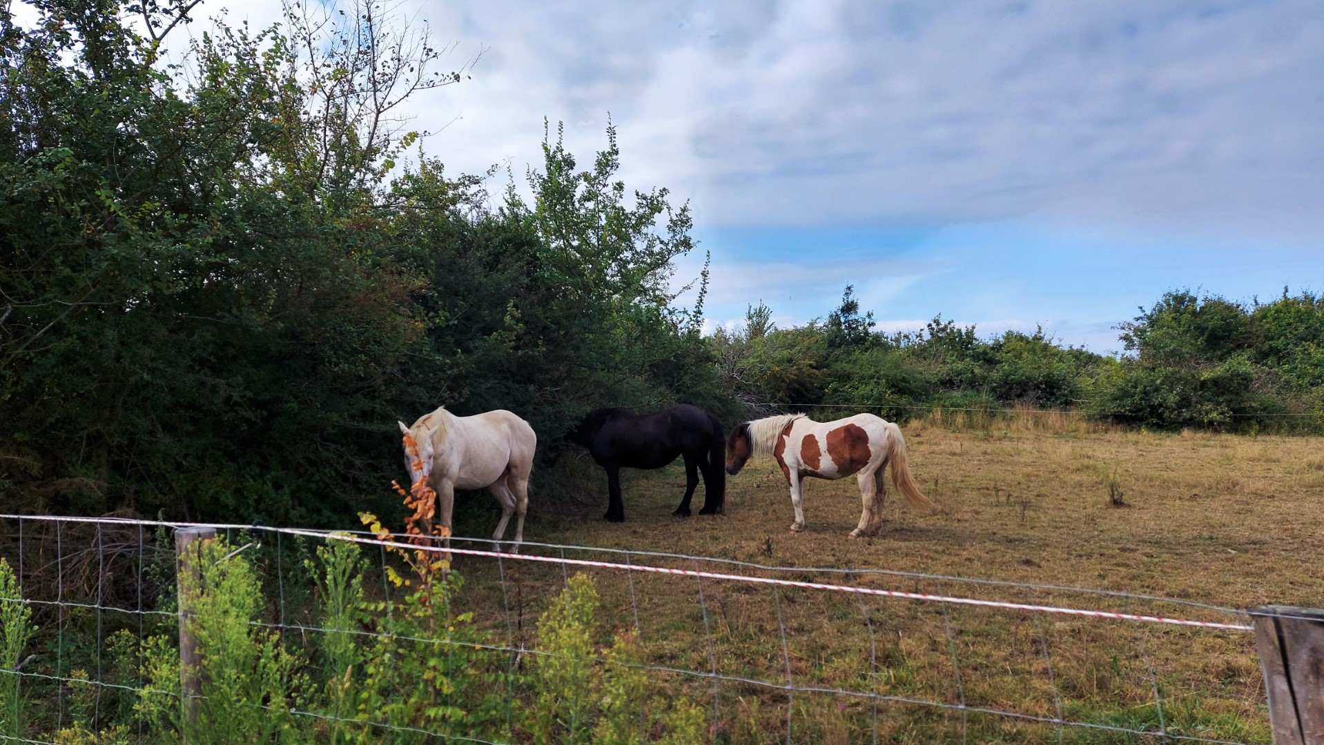 20210820_105812 (Grand)