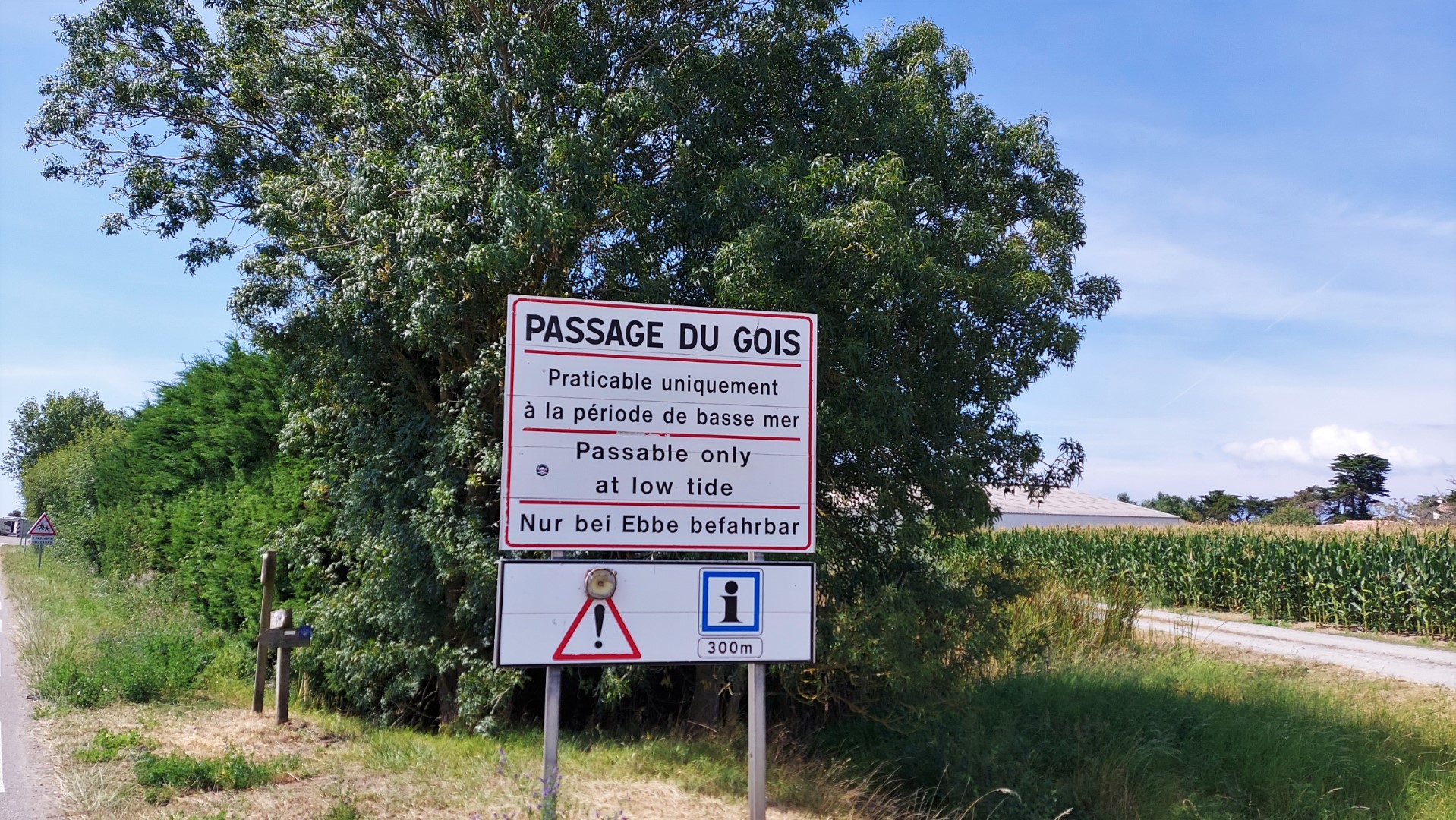 20210820_143239(0) (Grand)