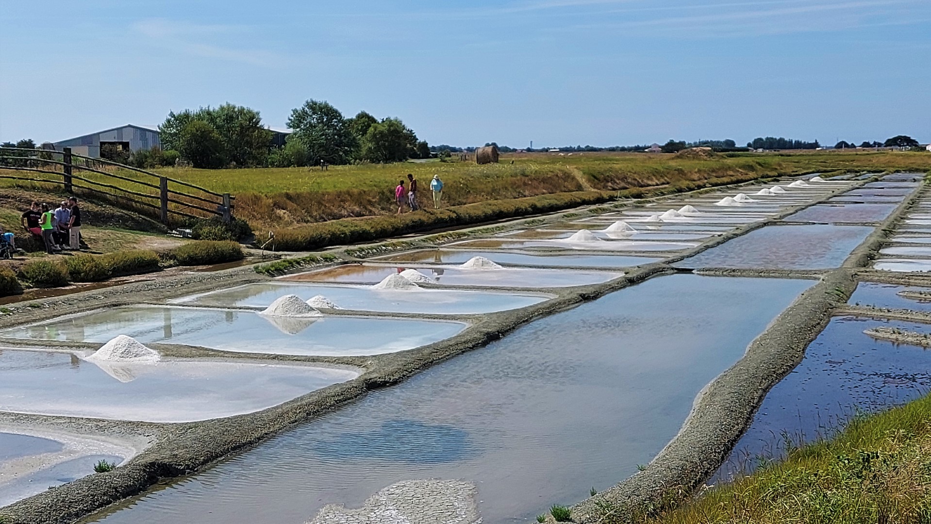 20210820_145908 (Grand)