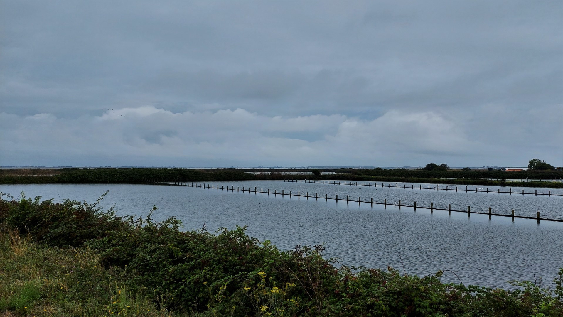 20210821_132343 (Grand)