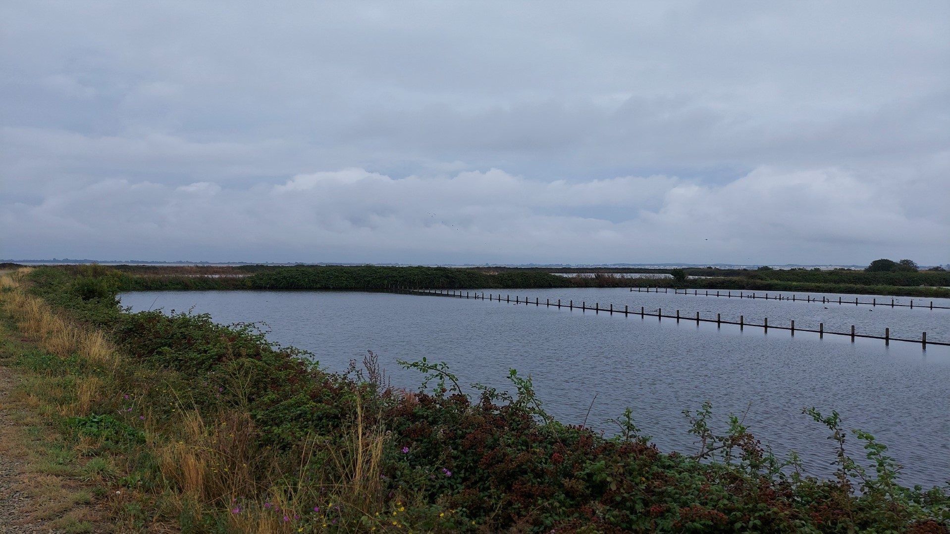 20210821_132348 (Grand)