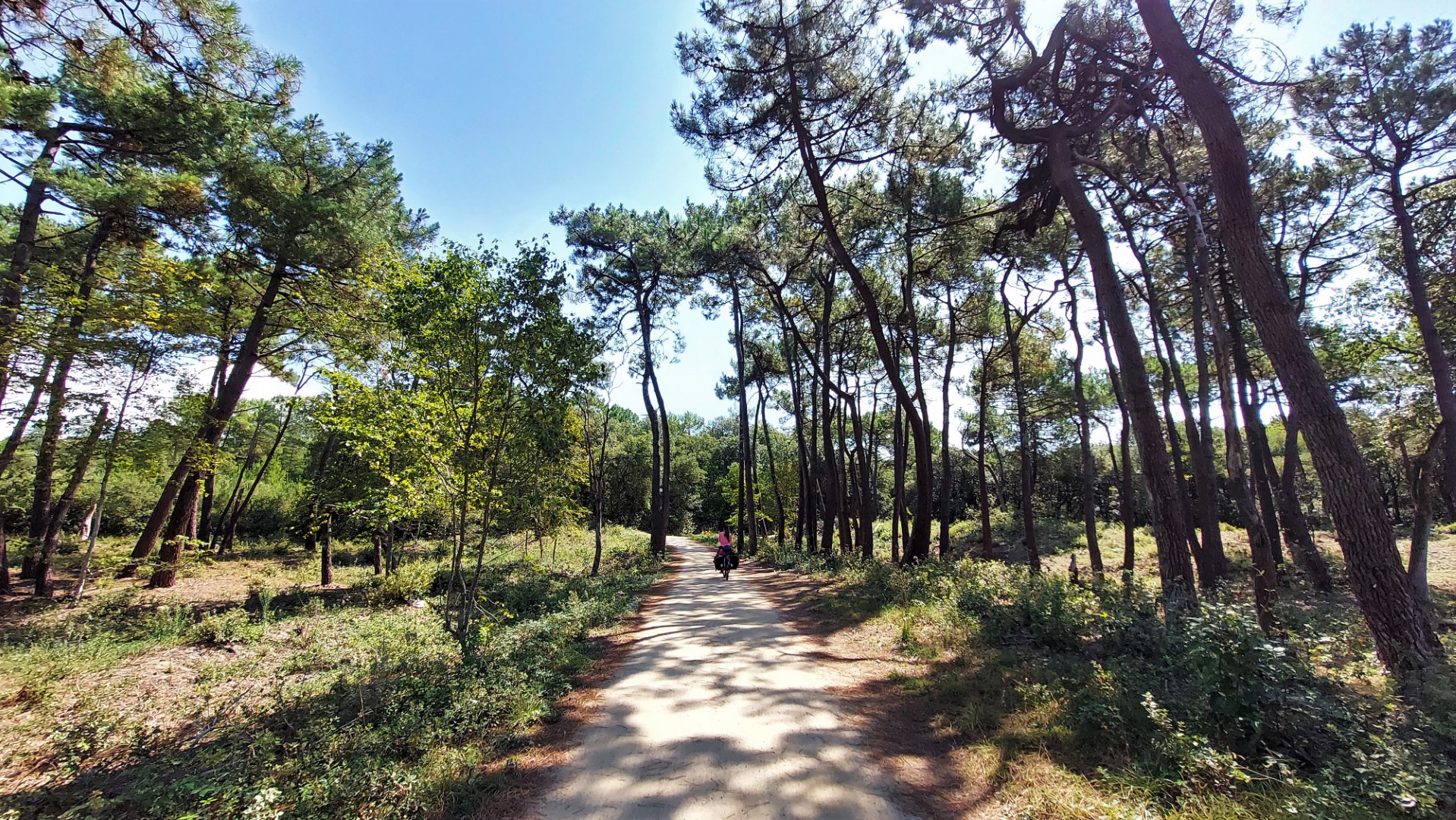 20210822_132859 (Grand)