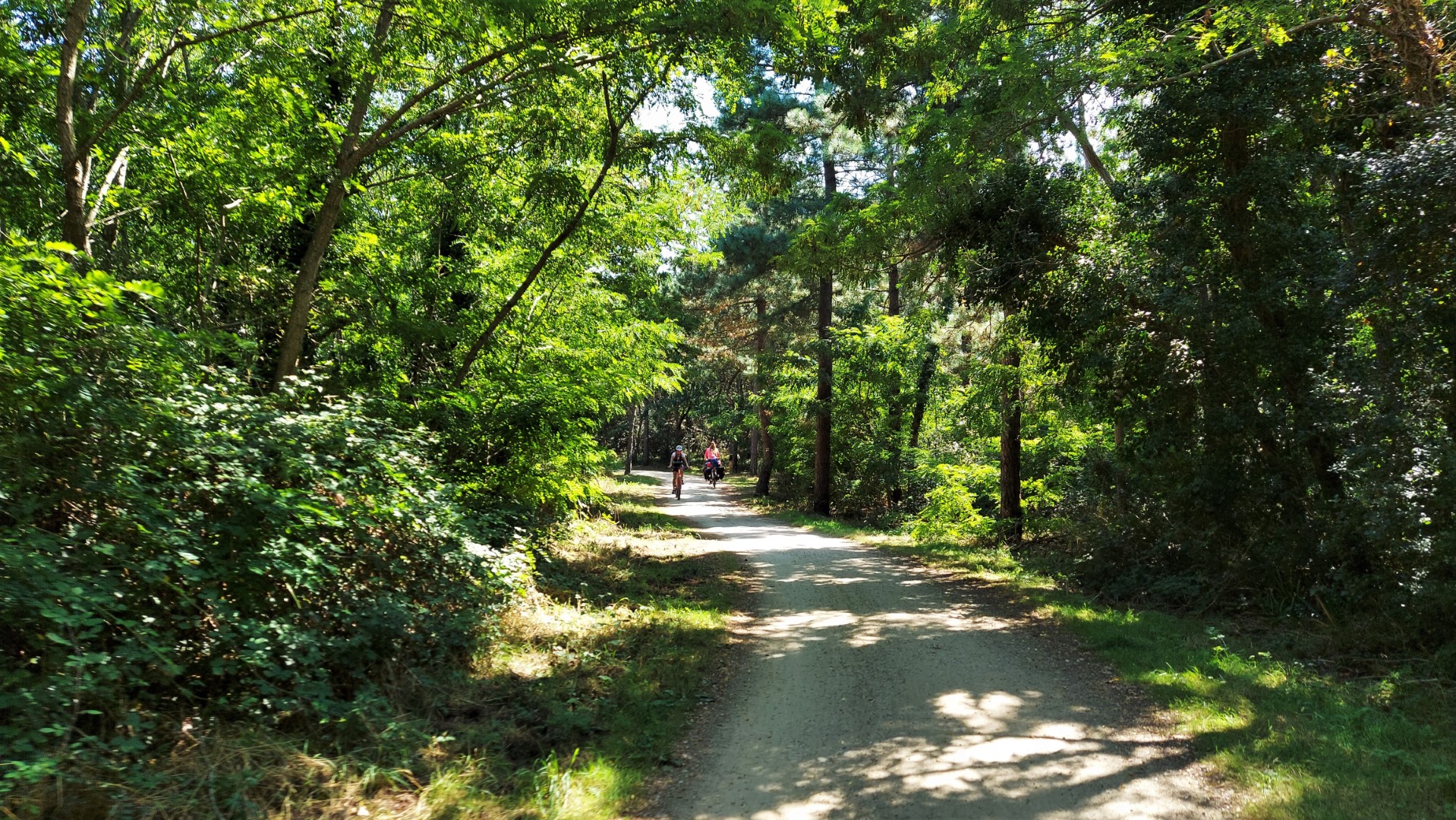 20210822_133236 (Grand)