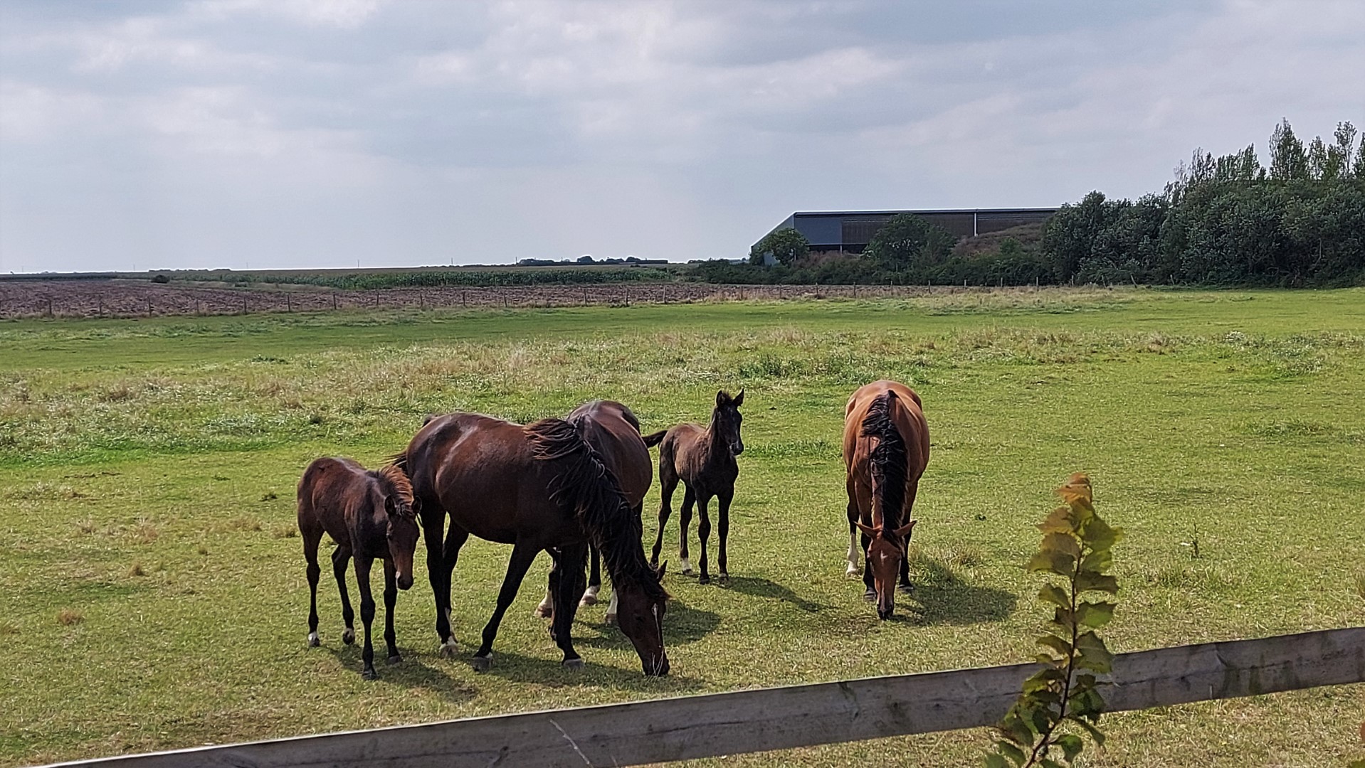 20210824_143521 (Grand)