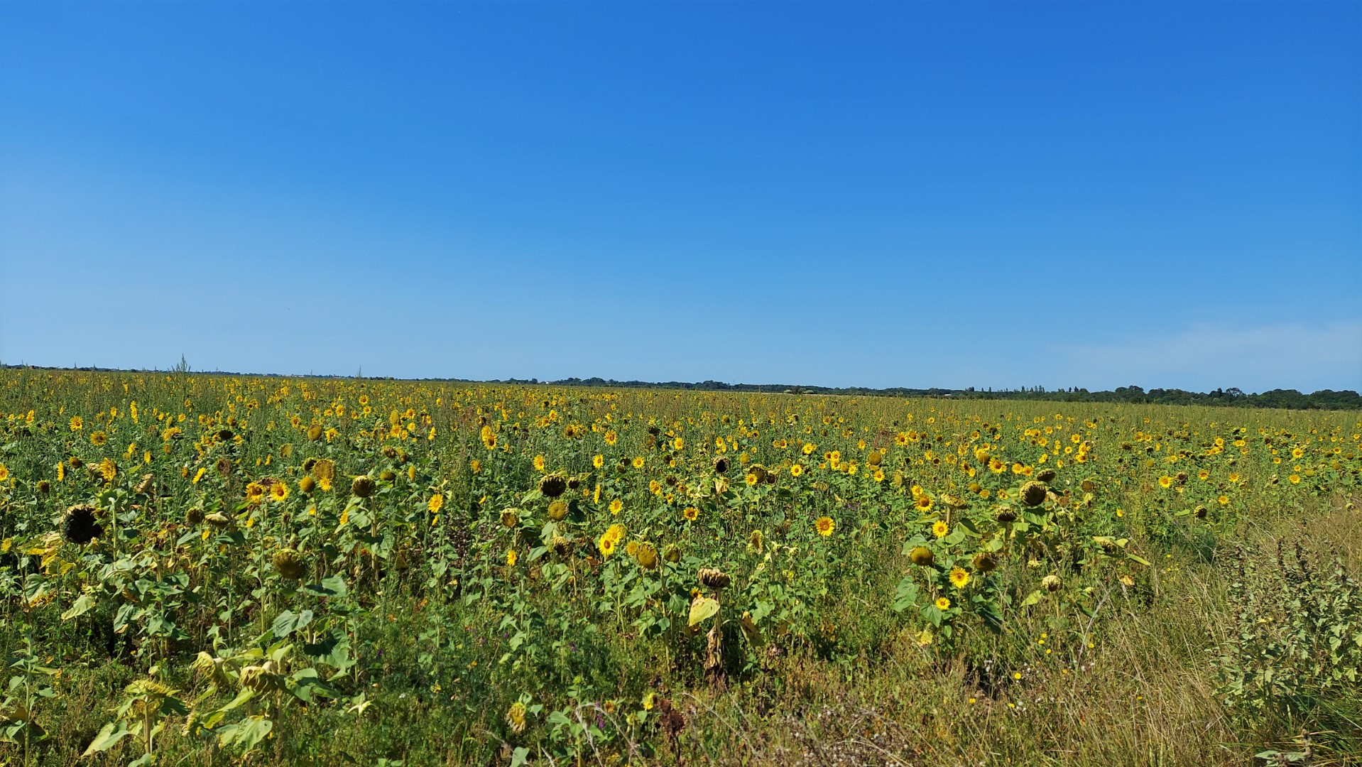 20210825_123144 (Grand)