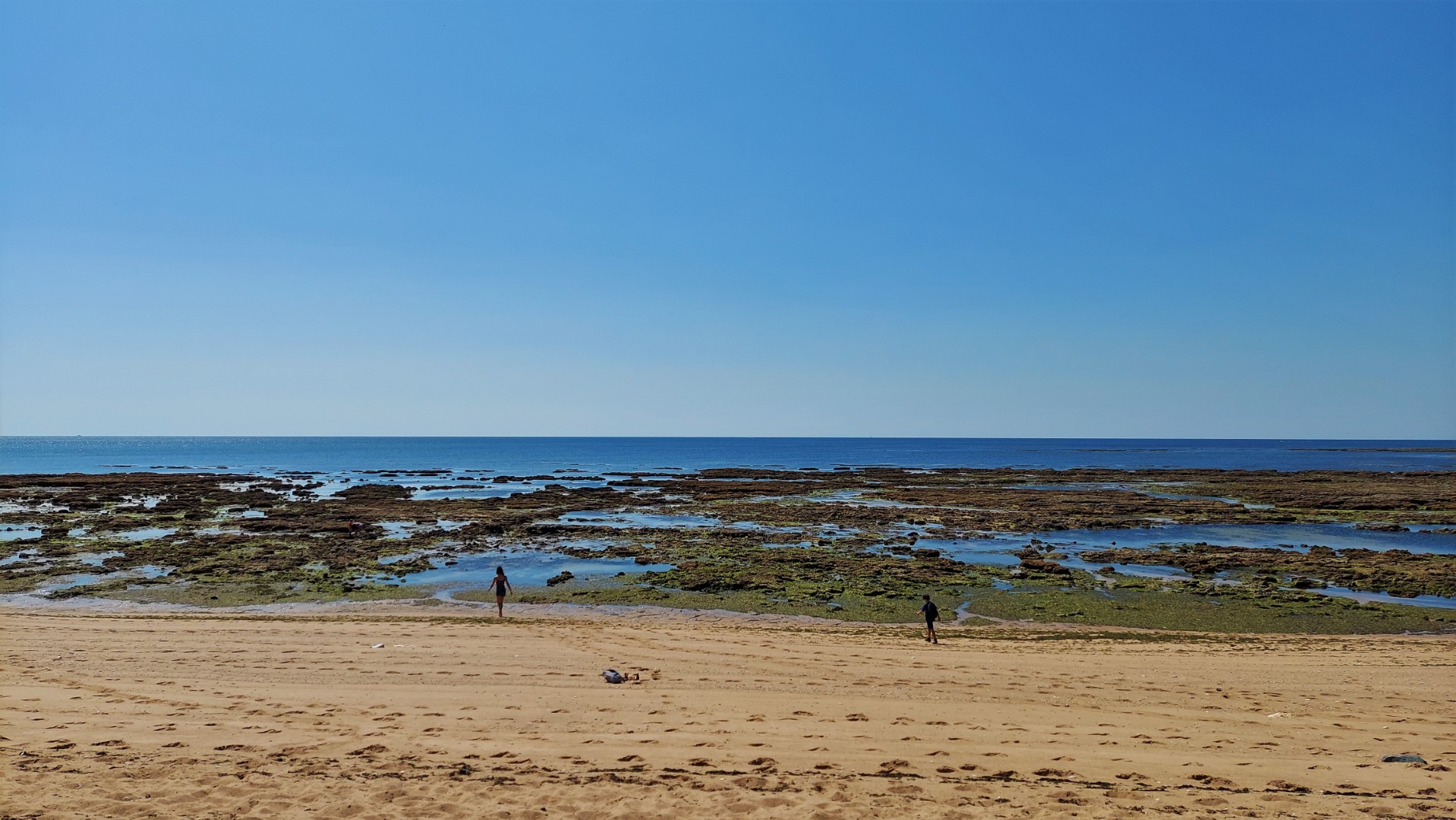 20210826_141109 (Grand)