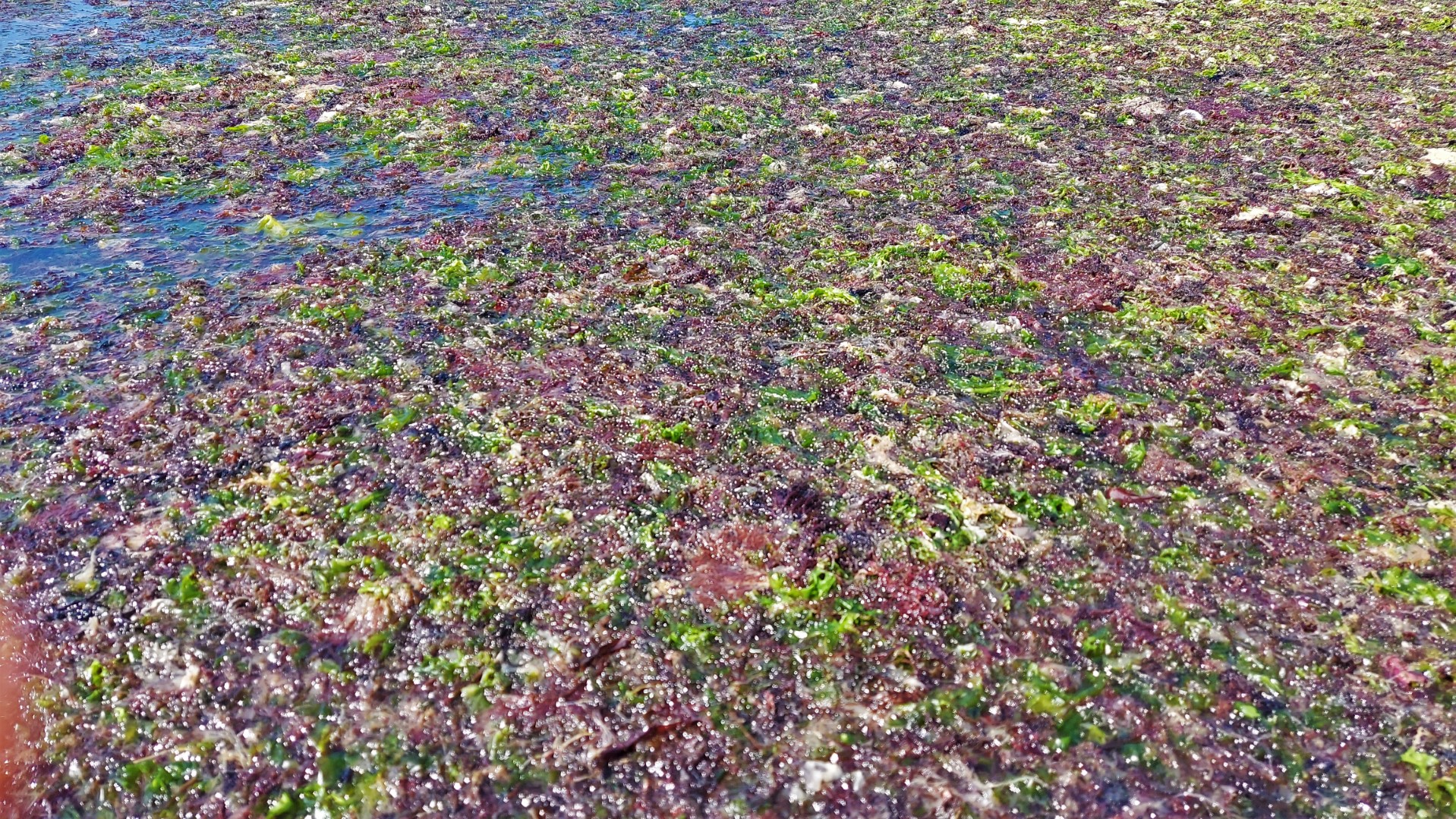 20210826_141310 (Grand)