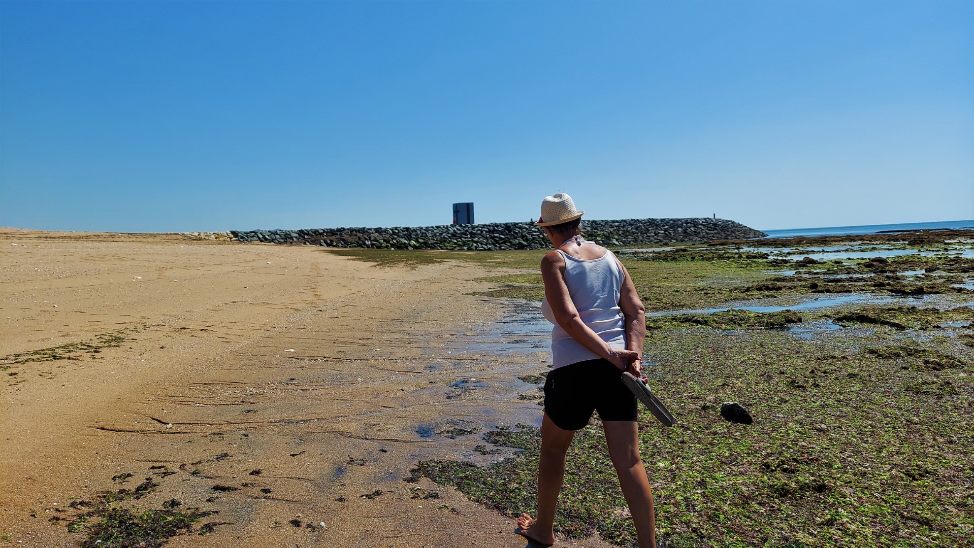 20210826_141341 (Grand)