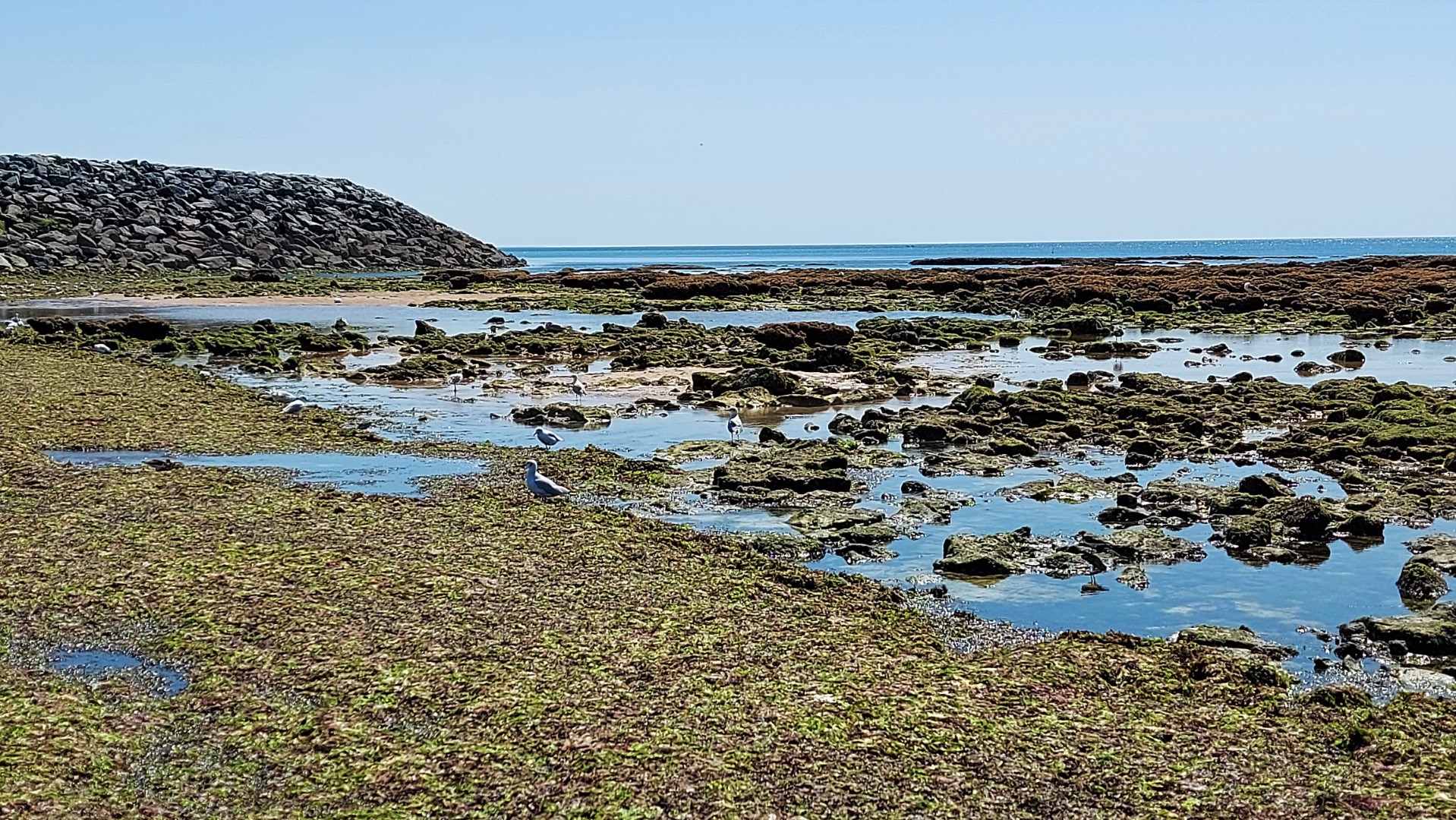 20210826_141807 (Grand)