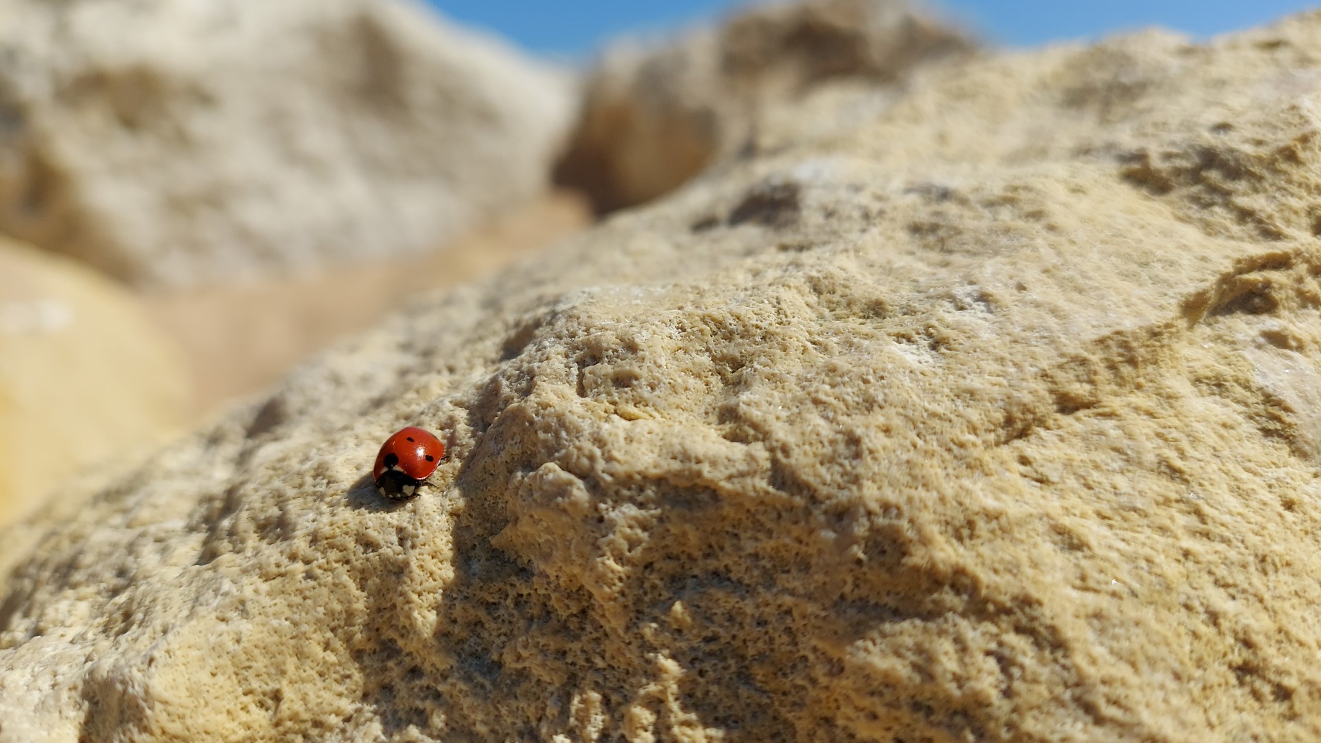 20210826_142232 (Grand)