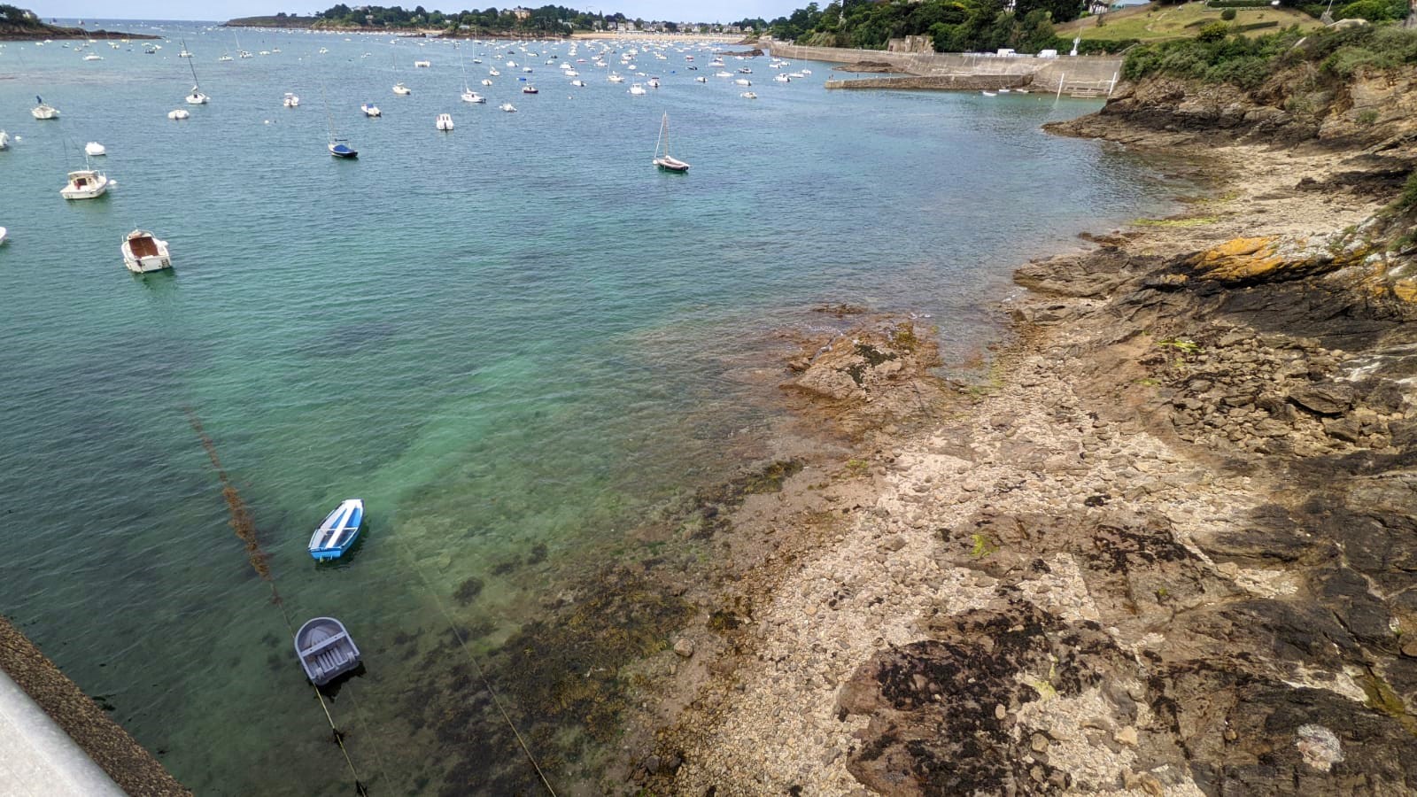 WhatsApp Image 2021-08-04 at 10.02.04 (1)