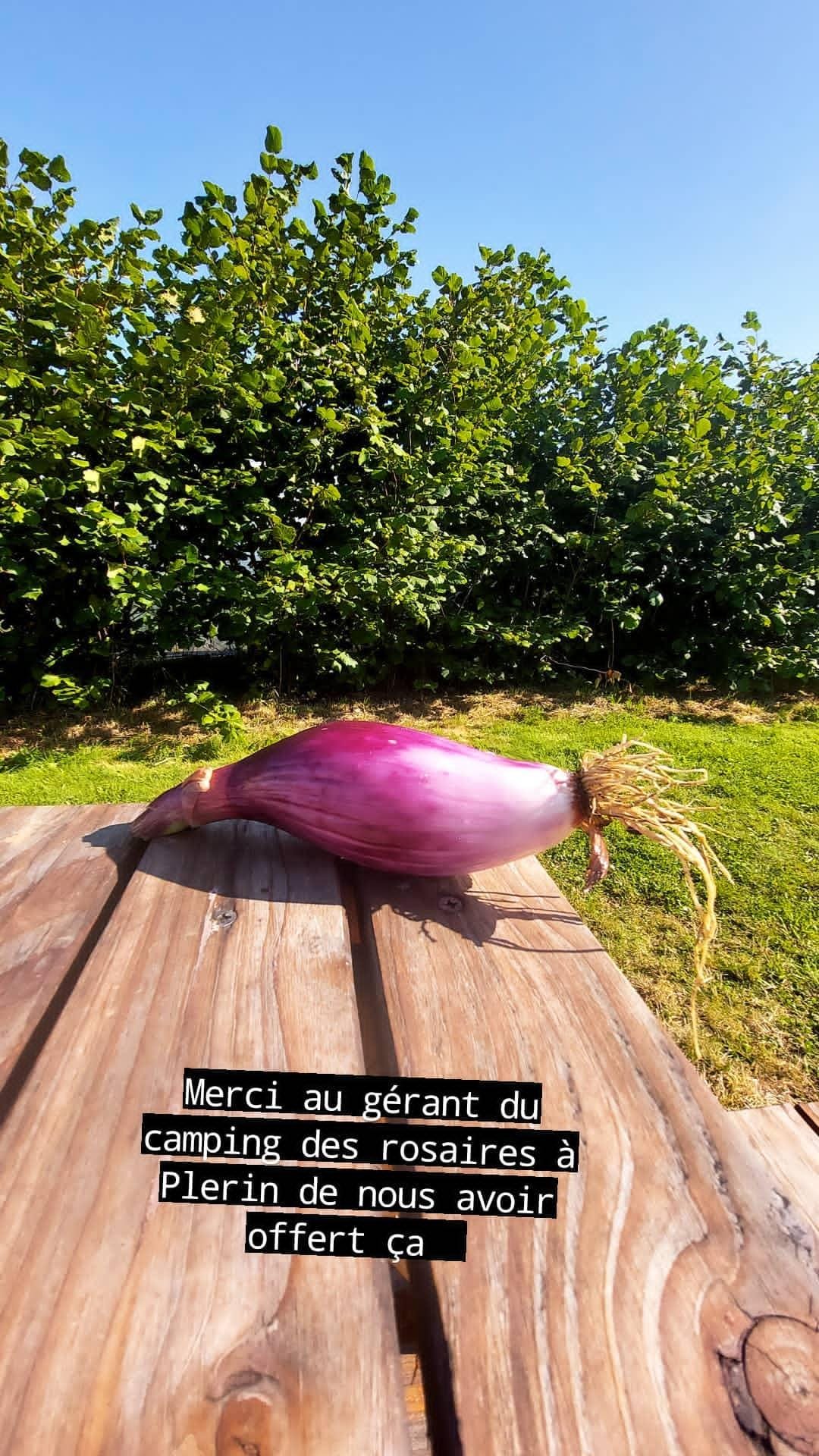 WhatsApp Image 2021-08-04 at 20.55.07